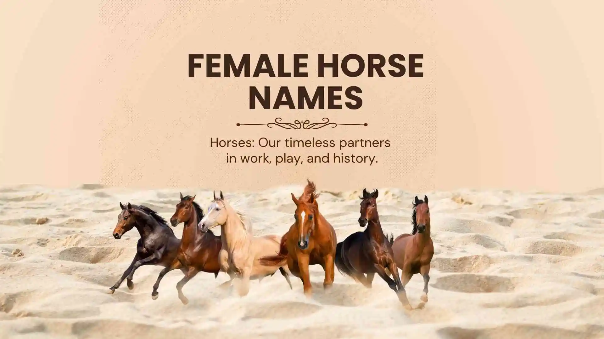 Female horse Names