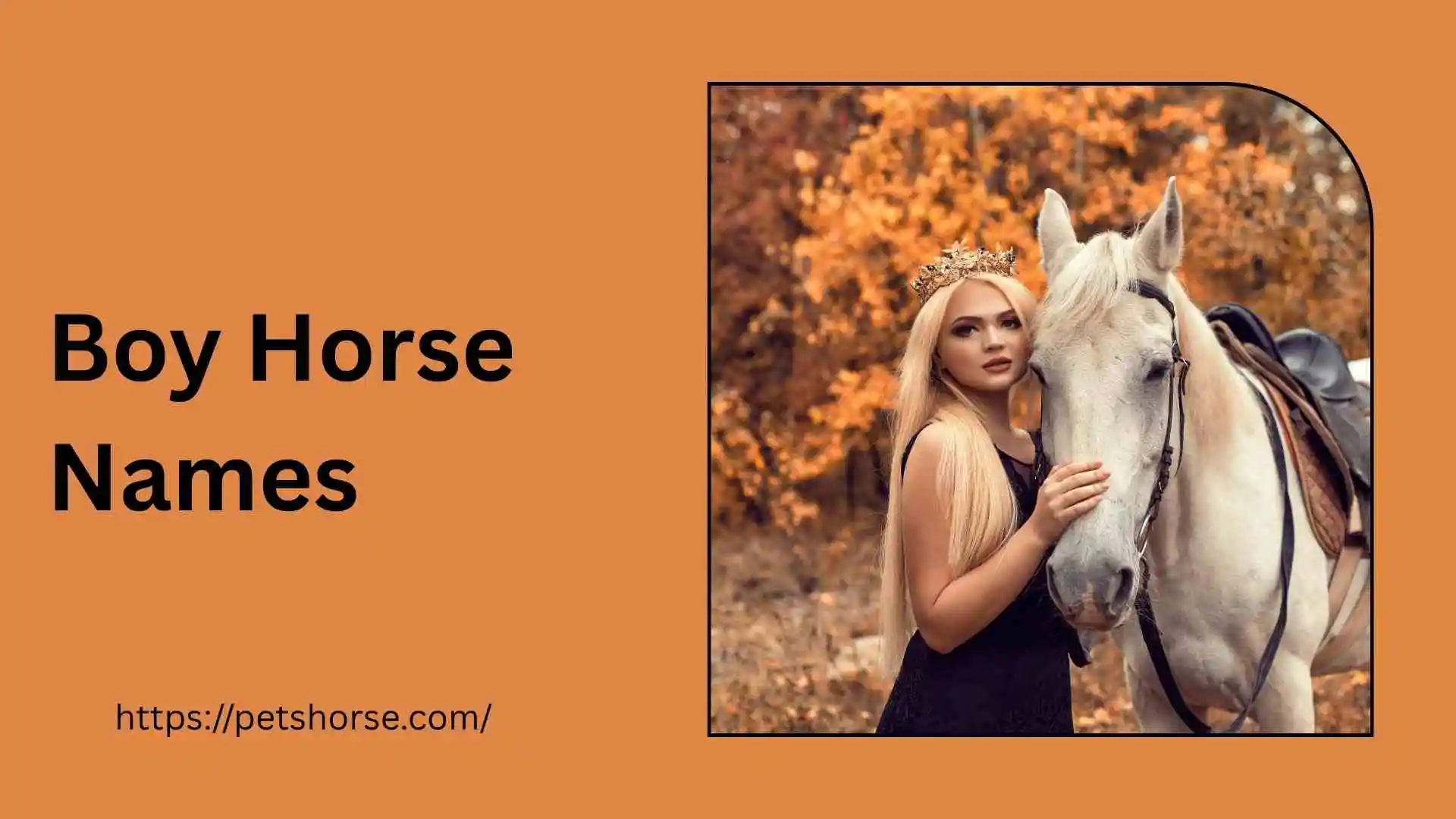 boy horse names
