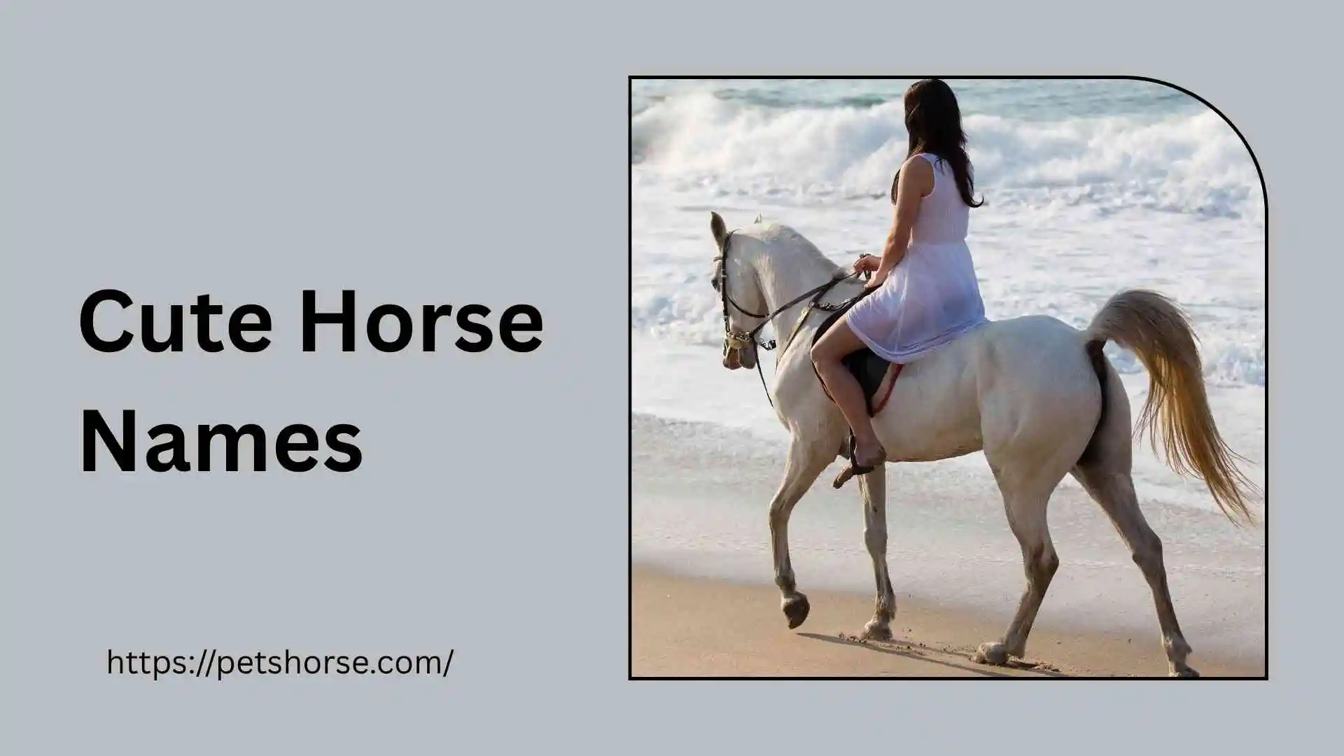 cute horse names