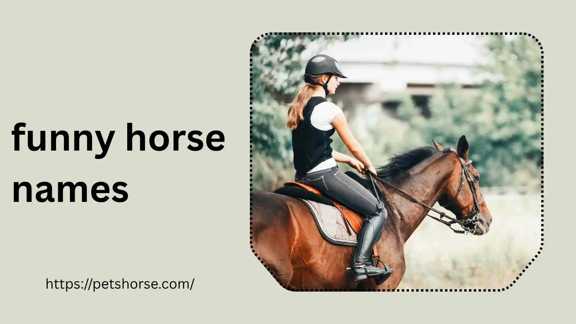 Funny horse Names