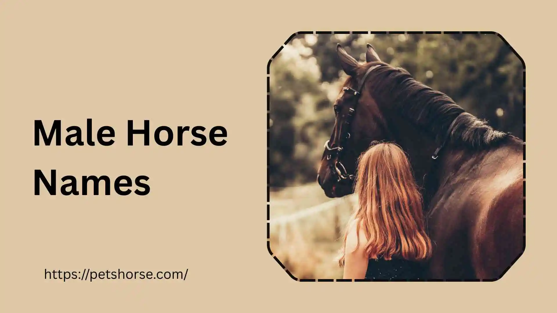 Male horse names