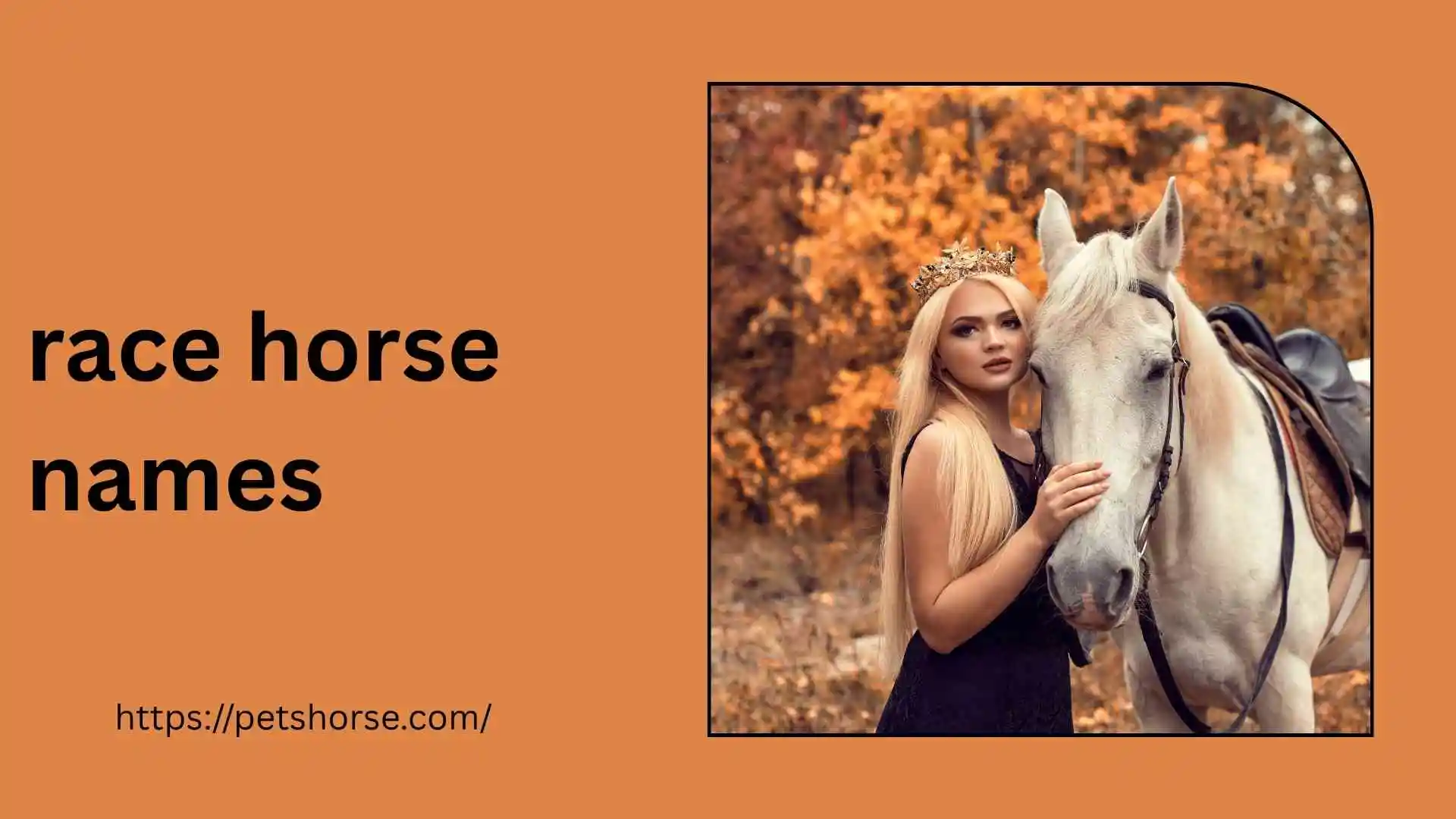 race horse names