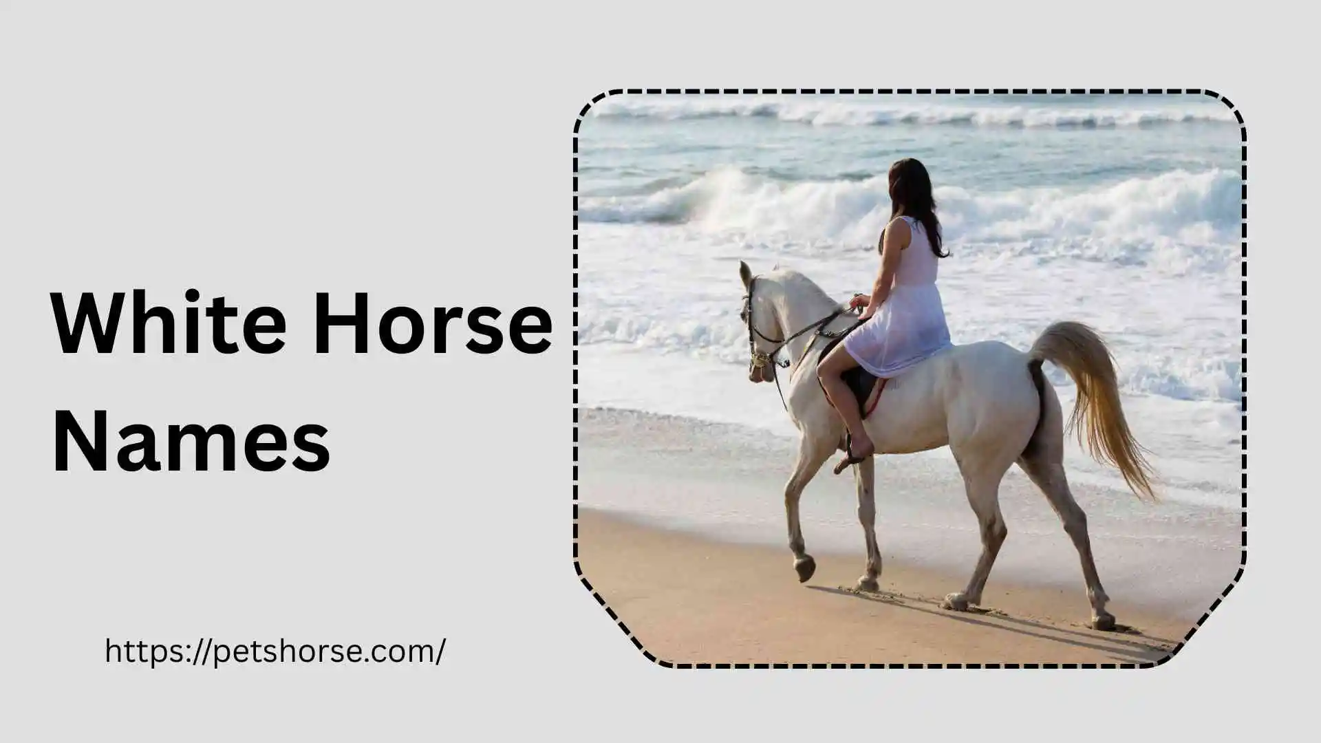 White horse Names