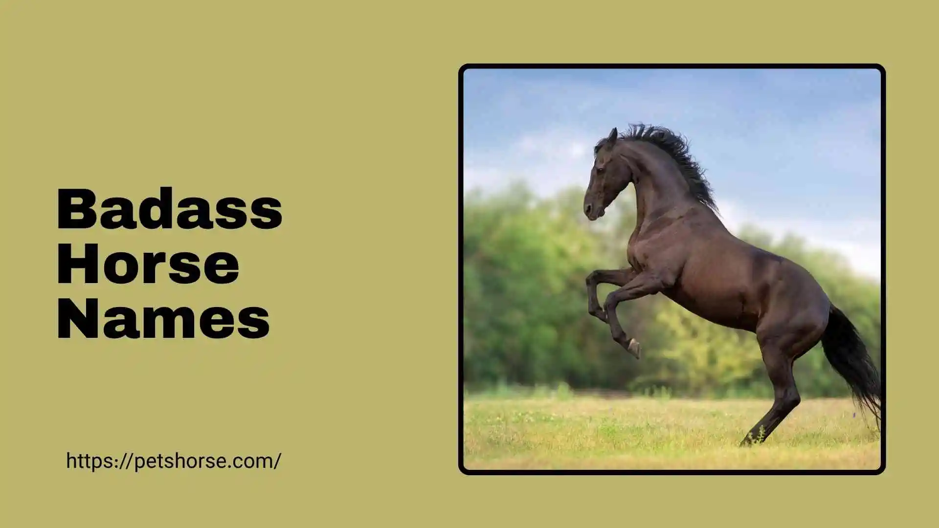 badass horse names