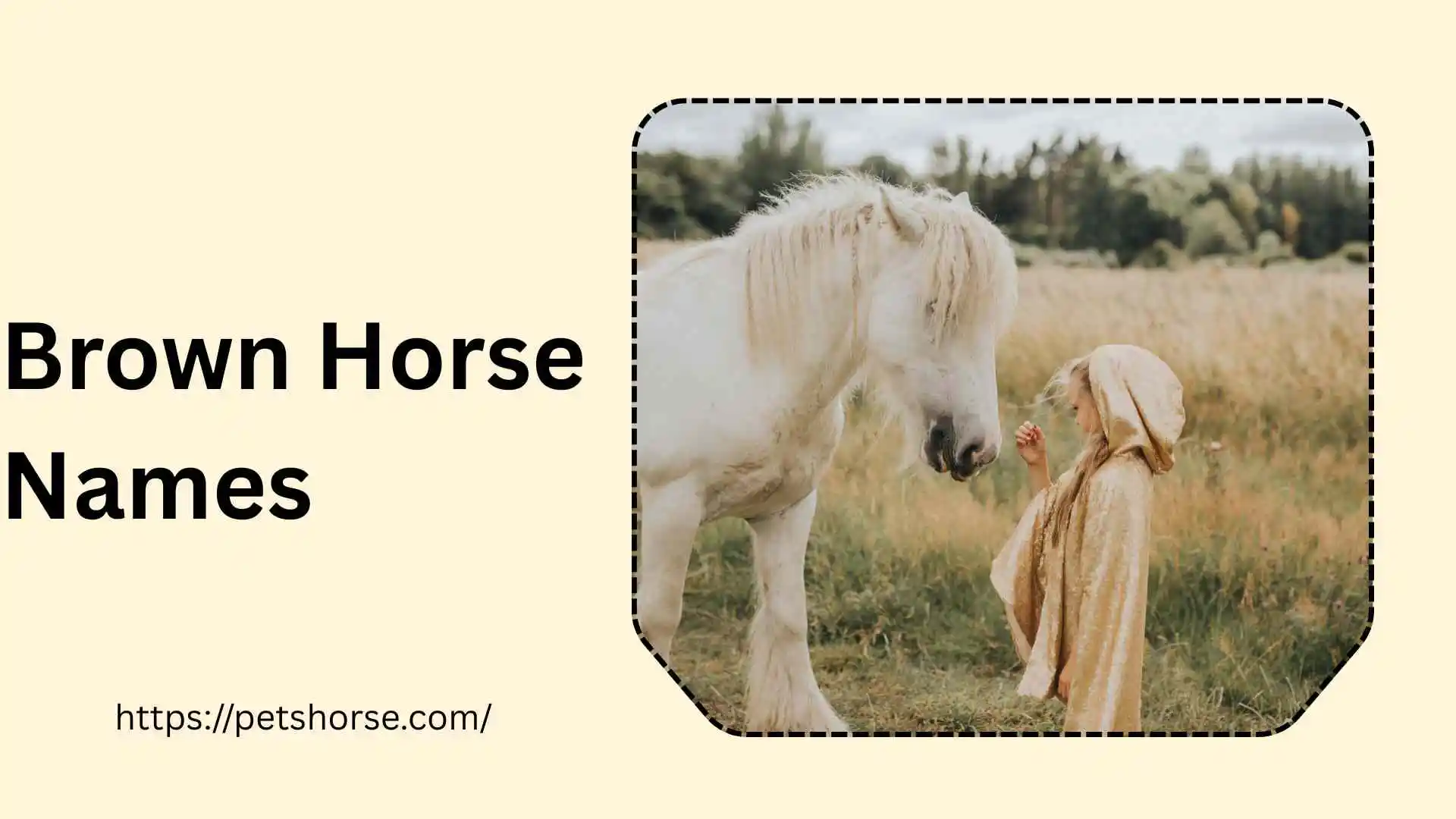 Brown horse Names