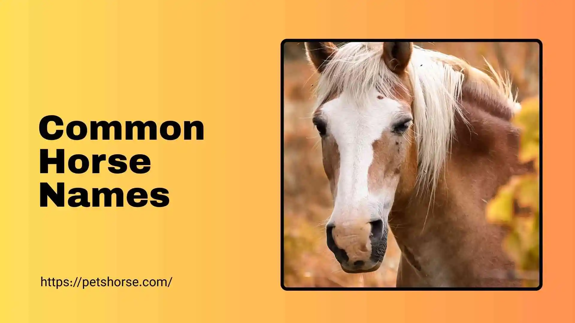 common horse names