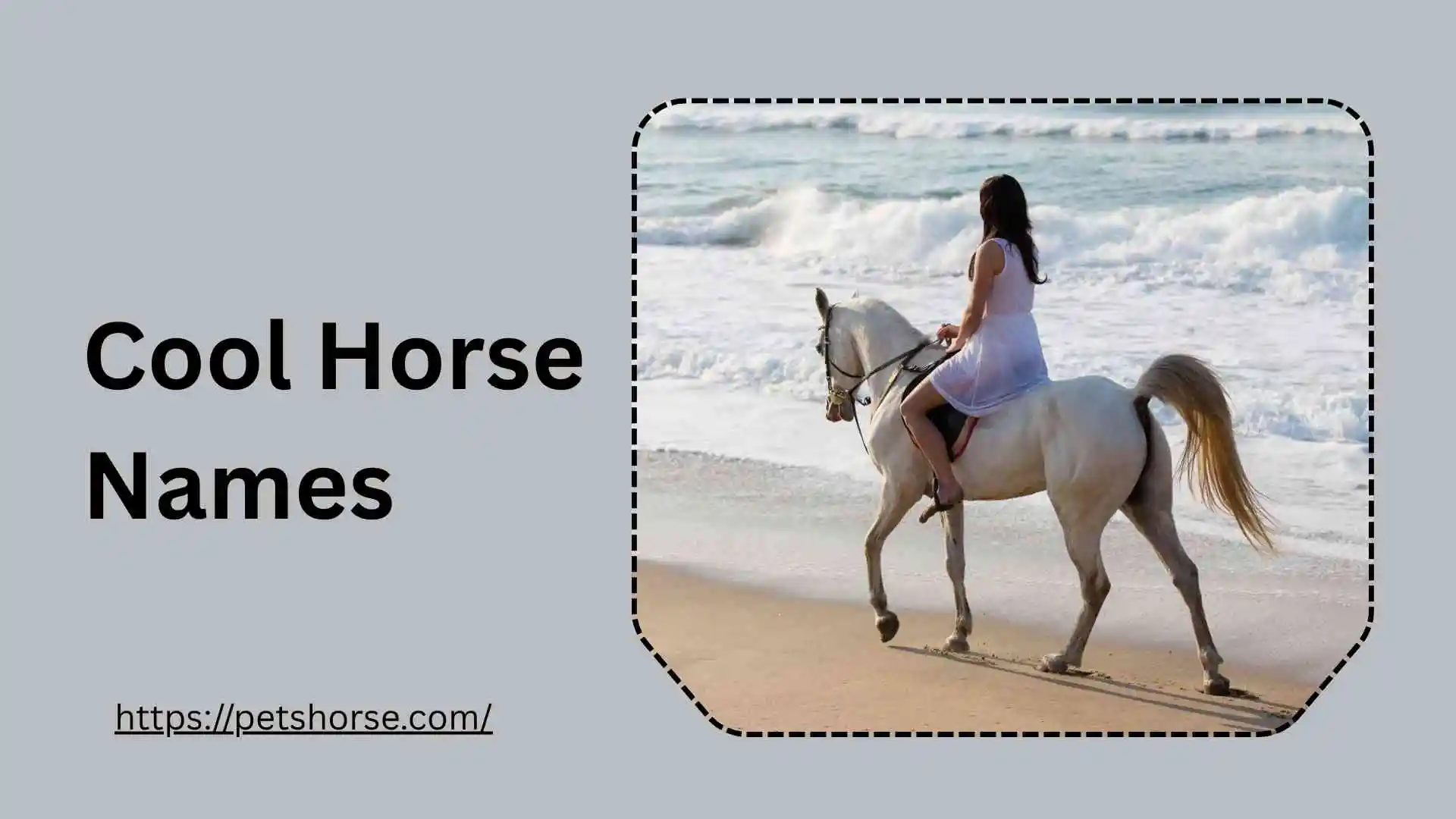 Cool horse Names