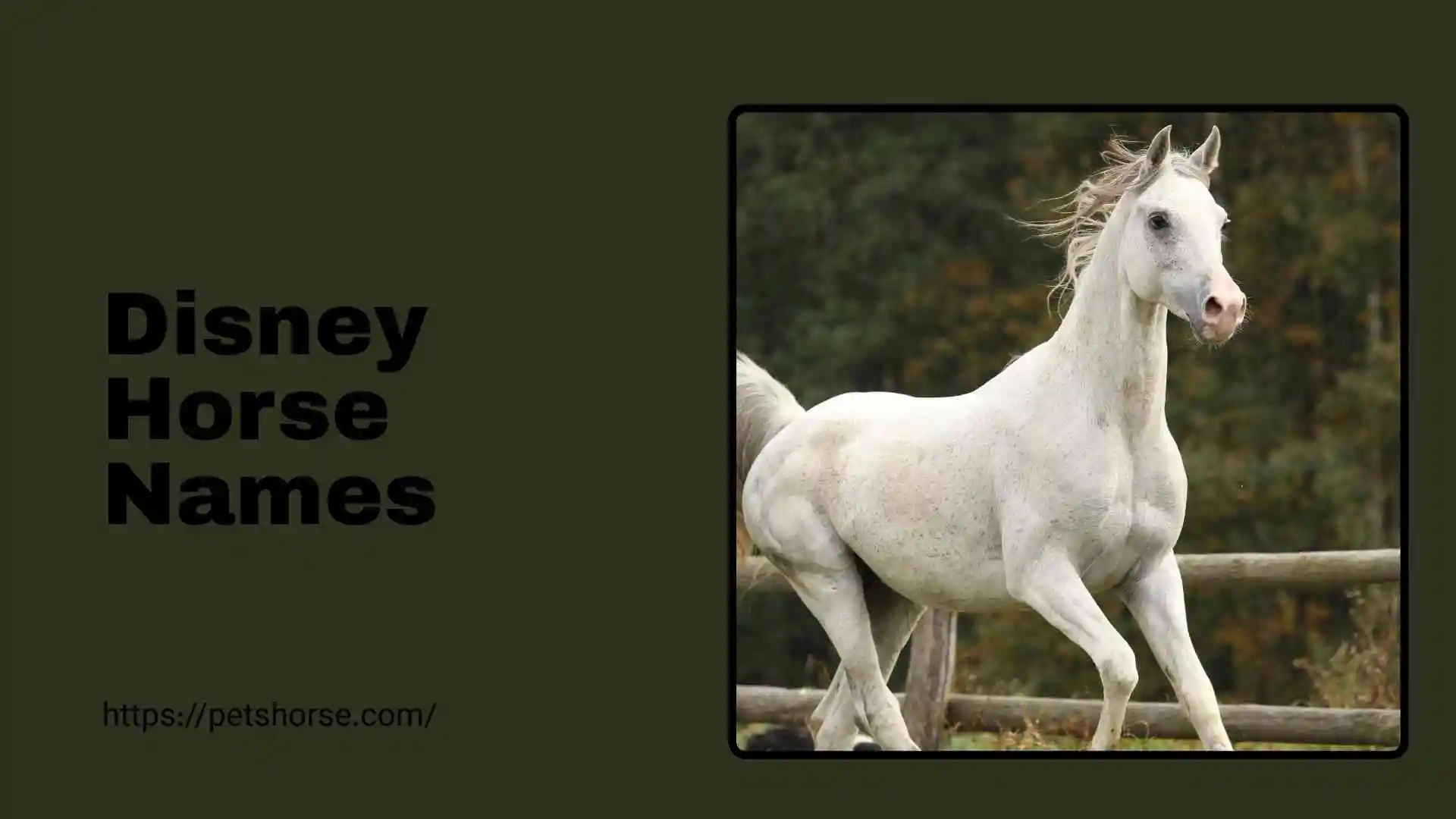 disney horse names