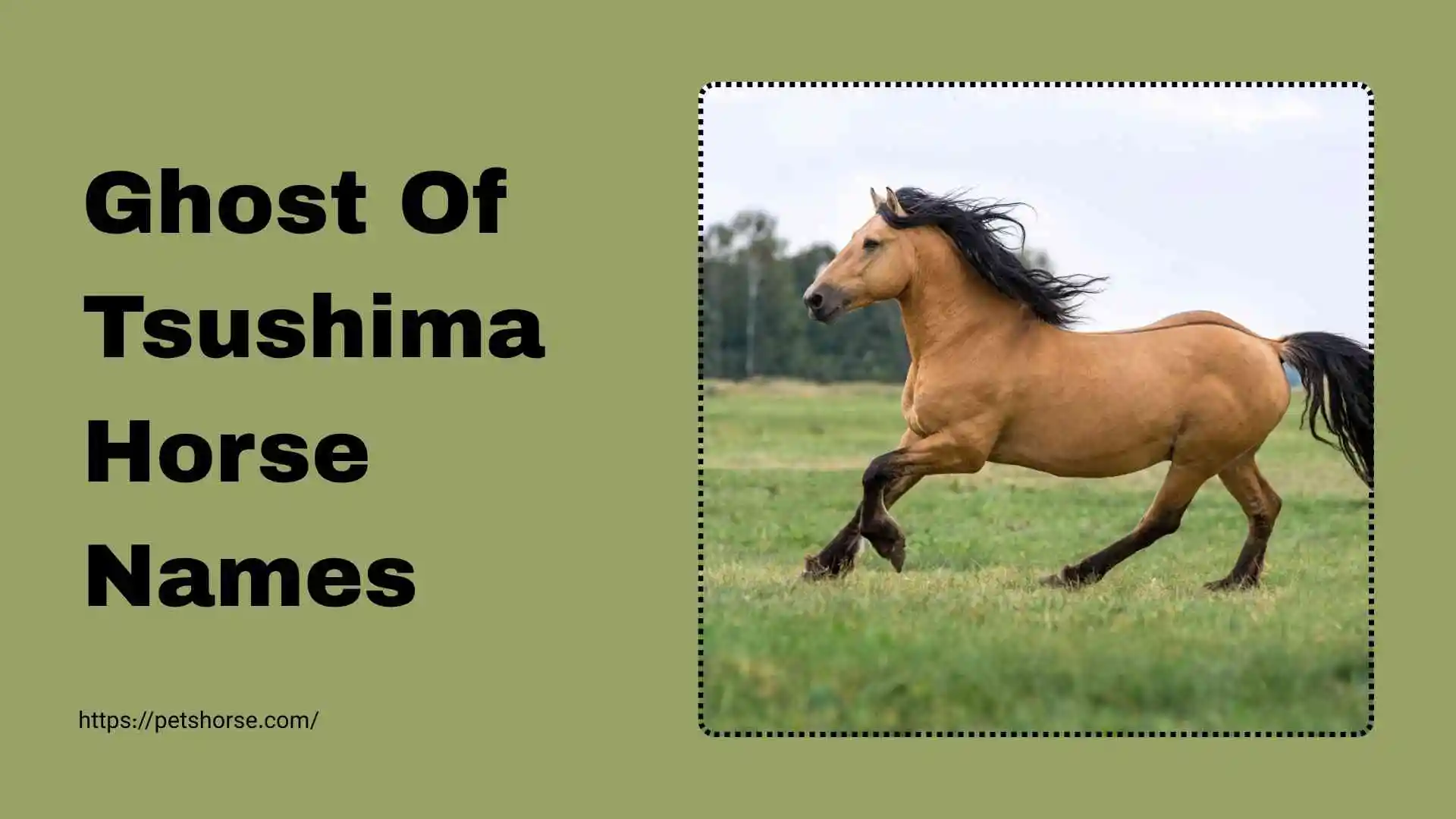 Ghost of tsushima horse Names
