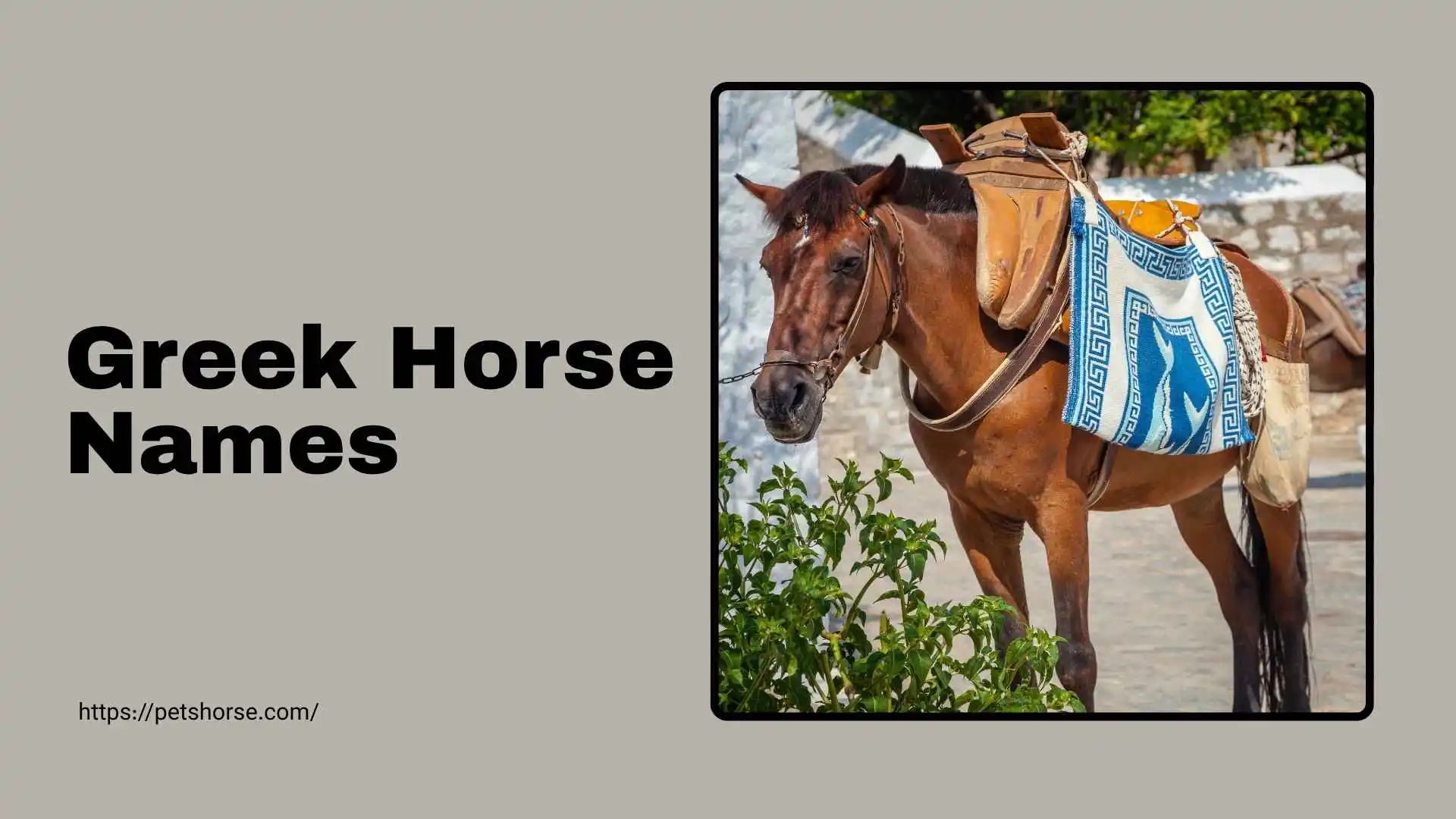 greek-horse-names