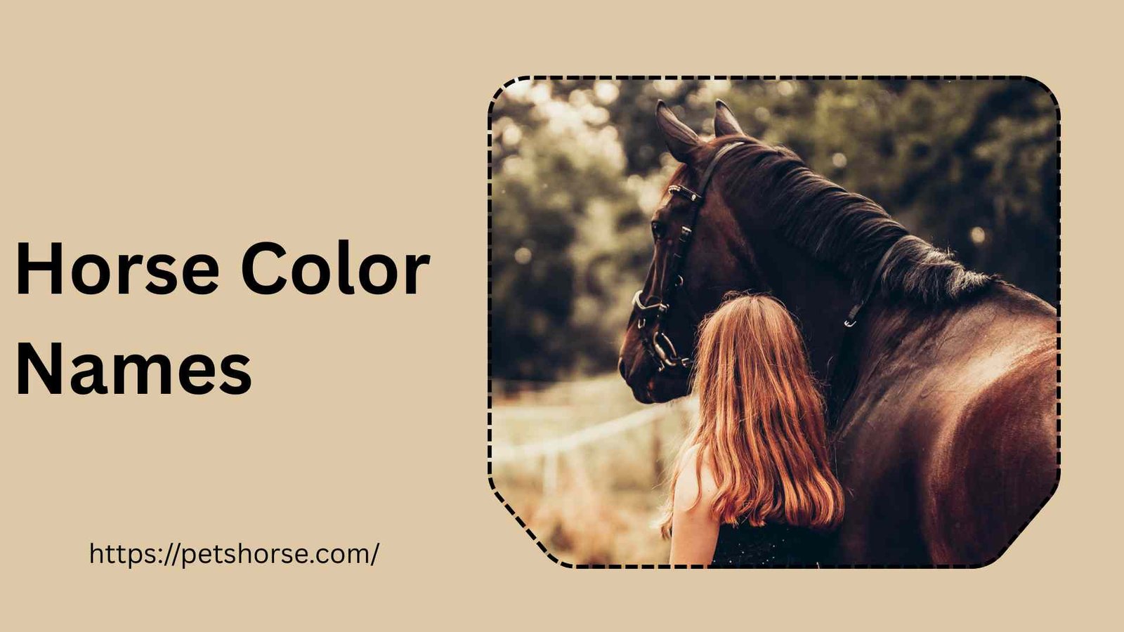 Horse color Names