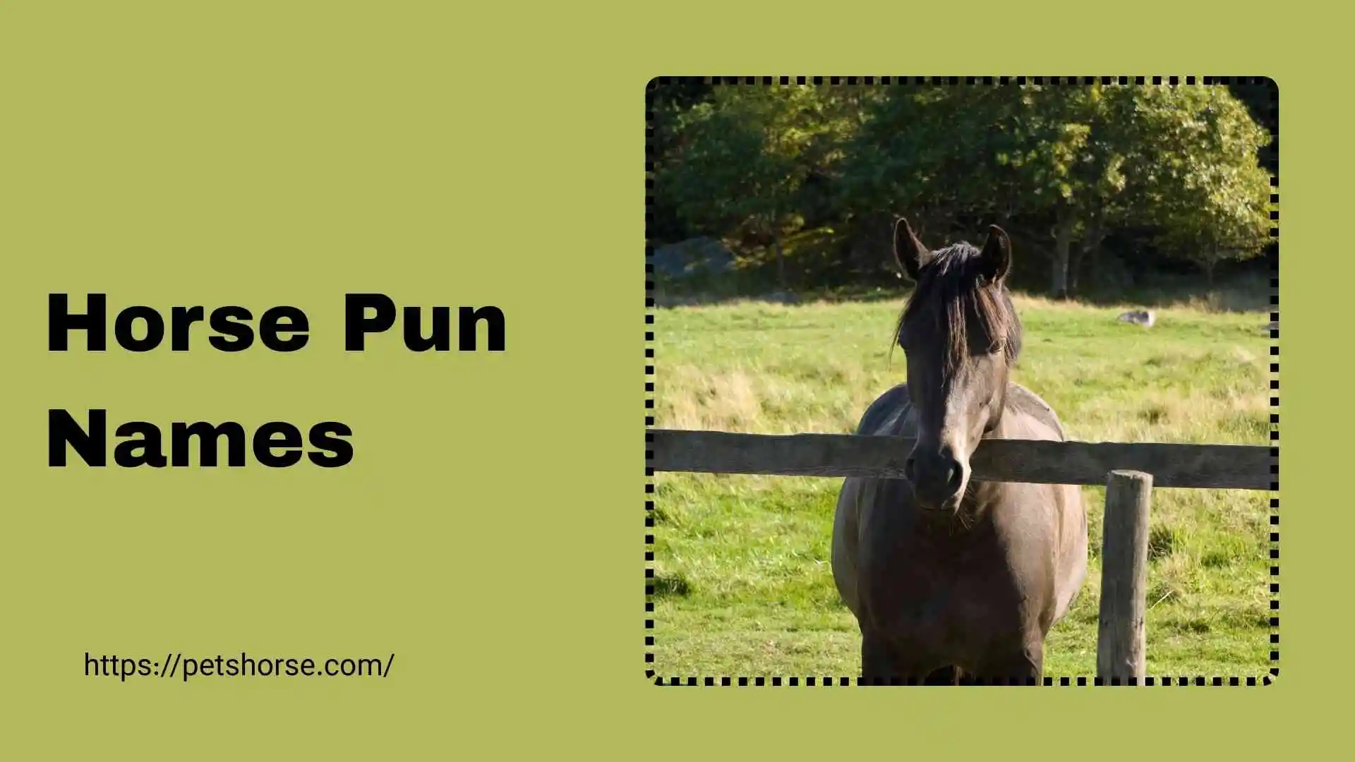 horse pun names