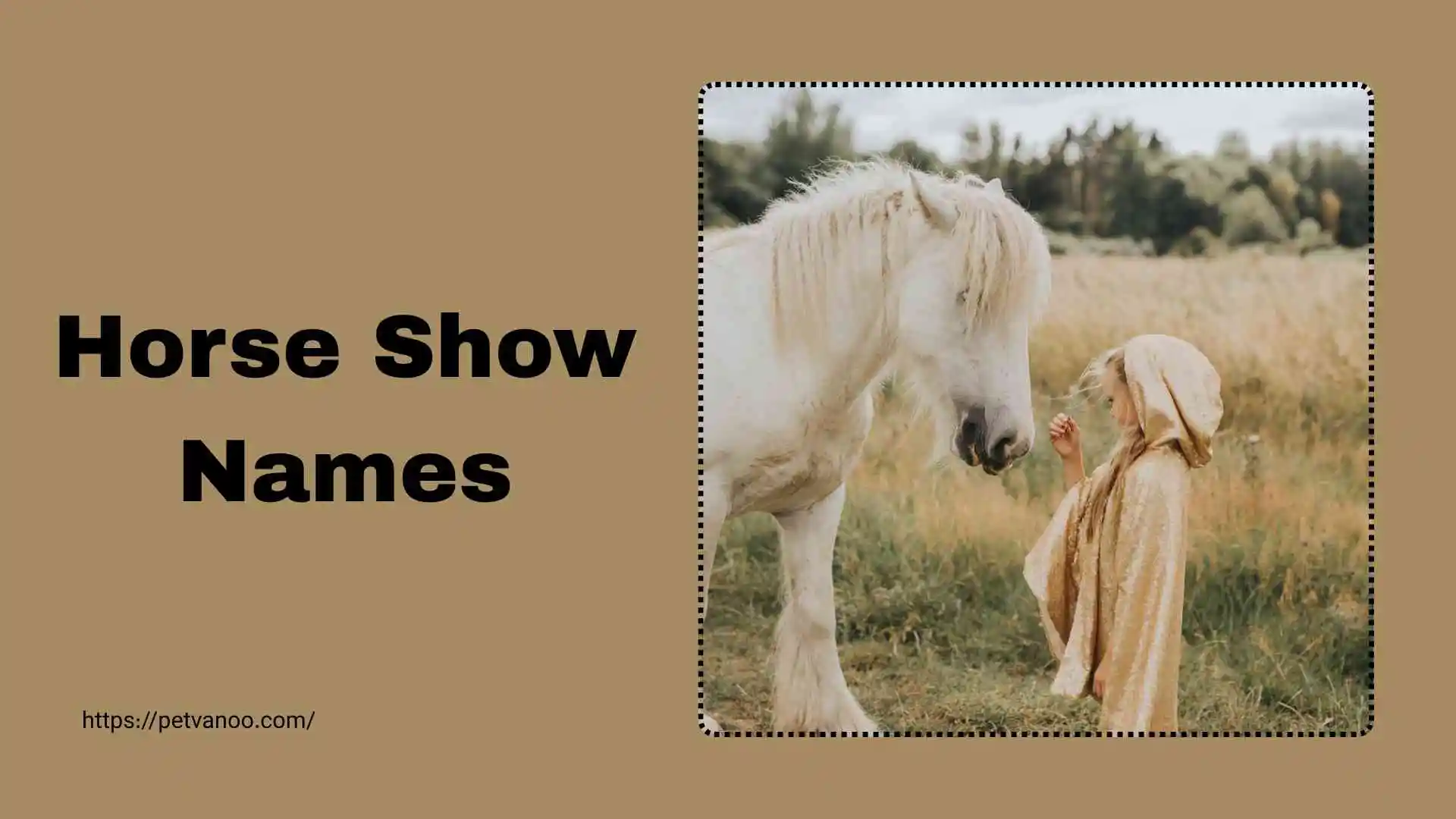 Horse show Names