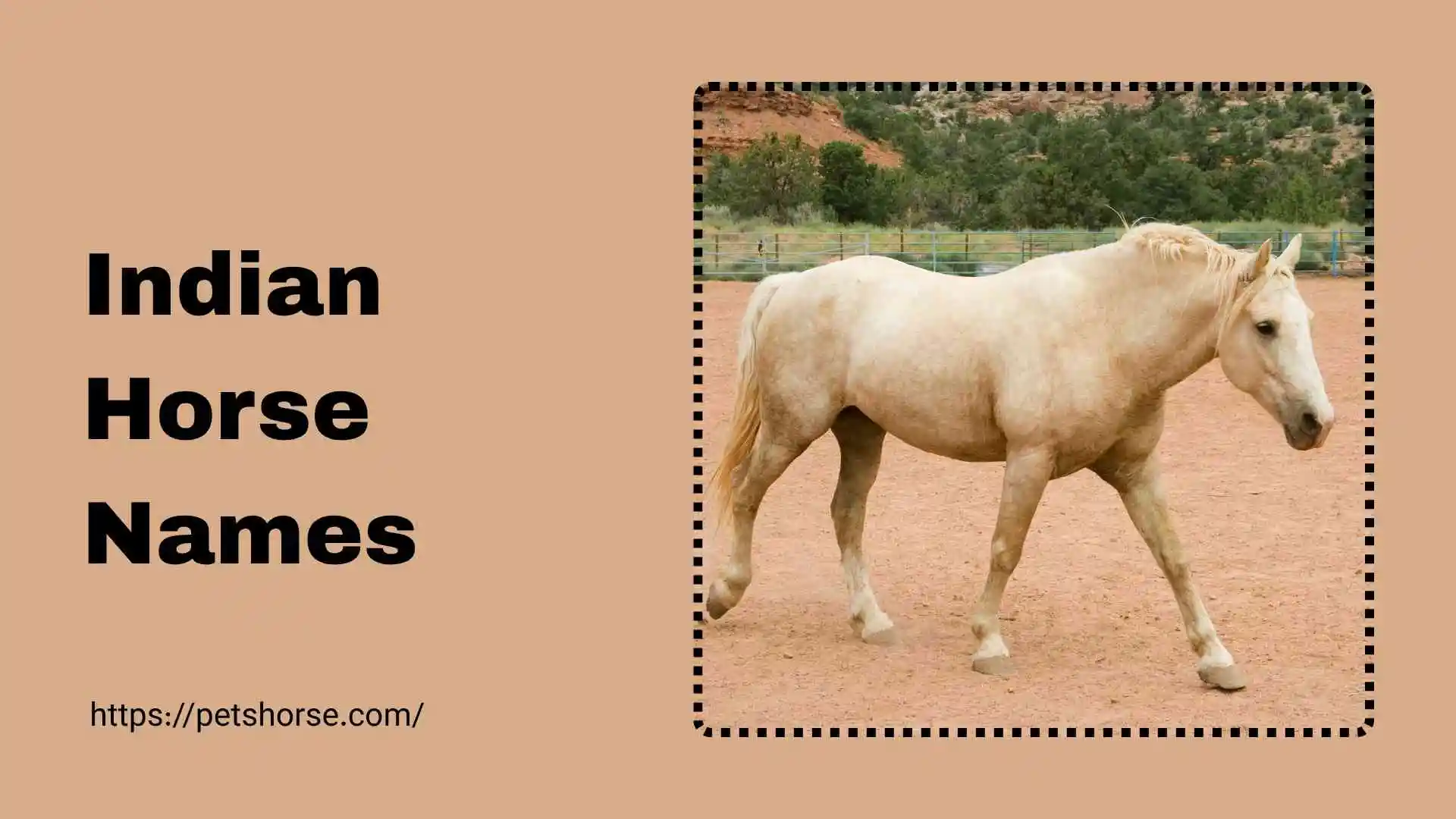 indian horse names