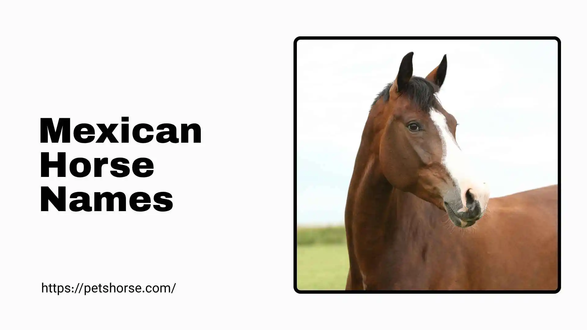 mexican horse names