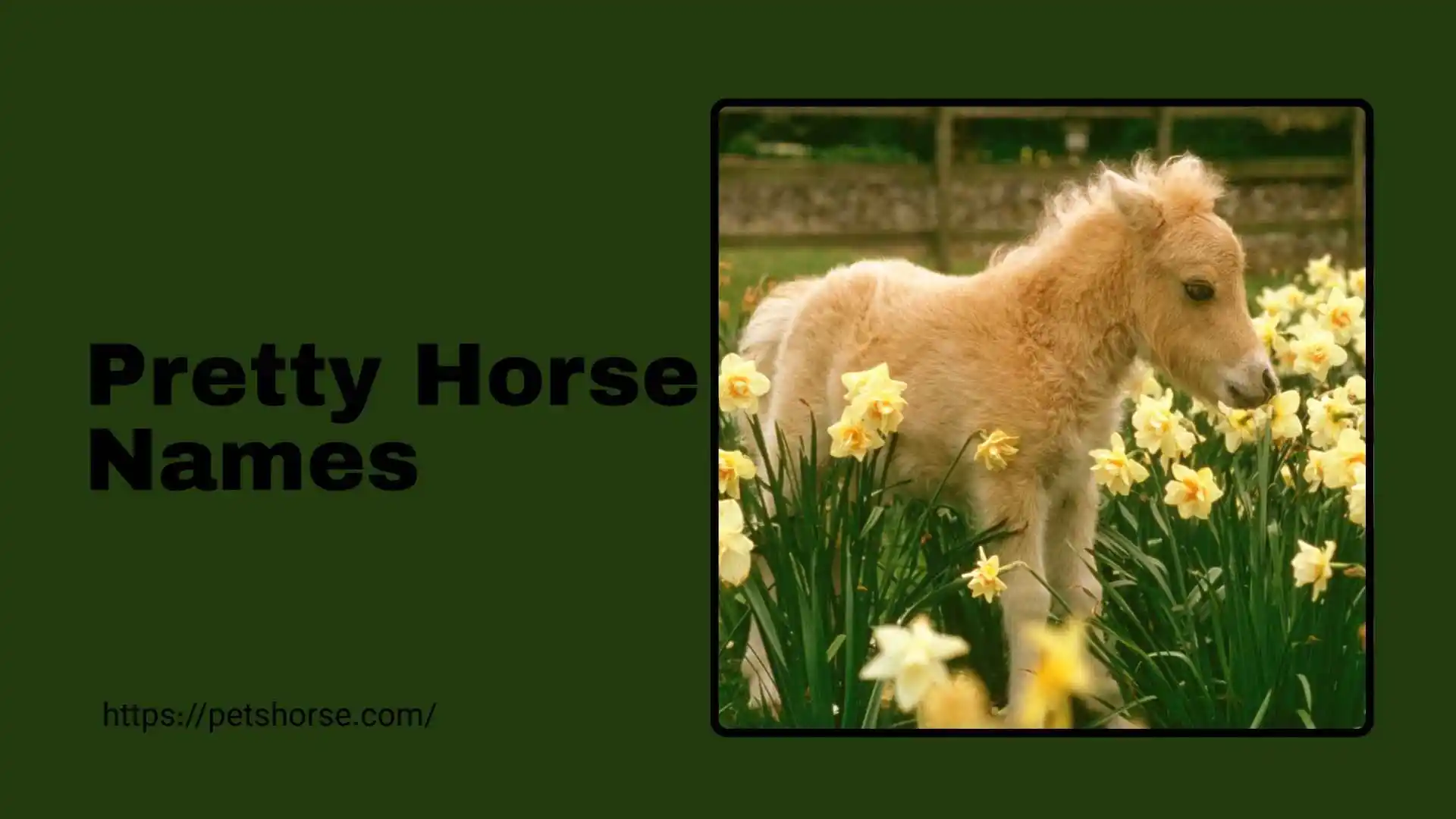pretty horse names