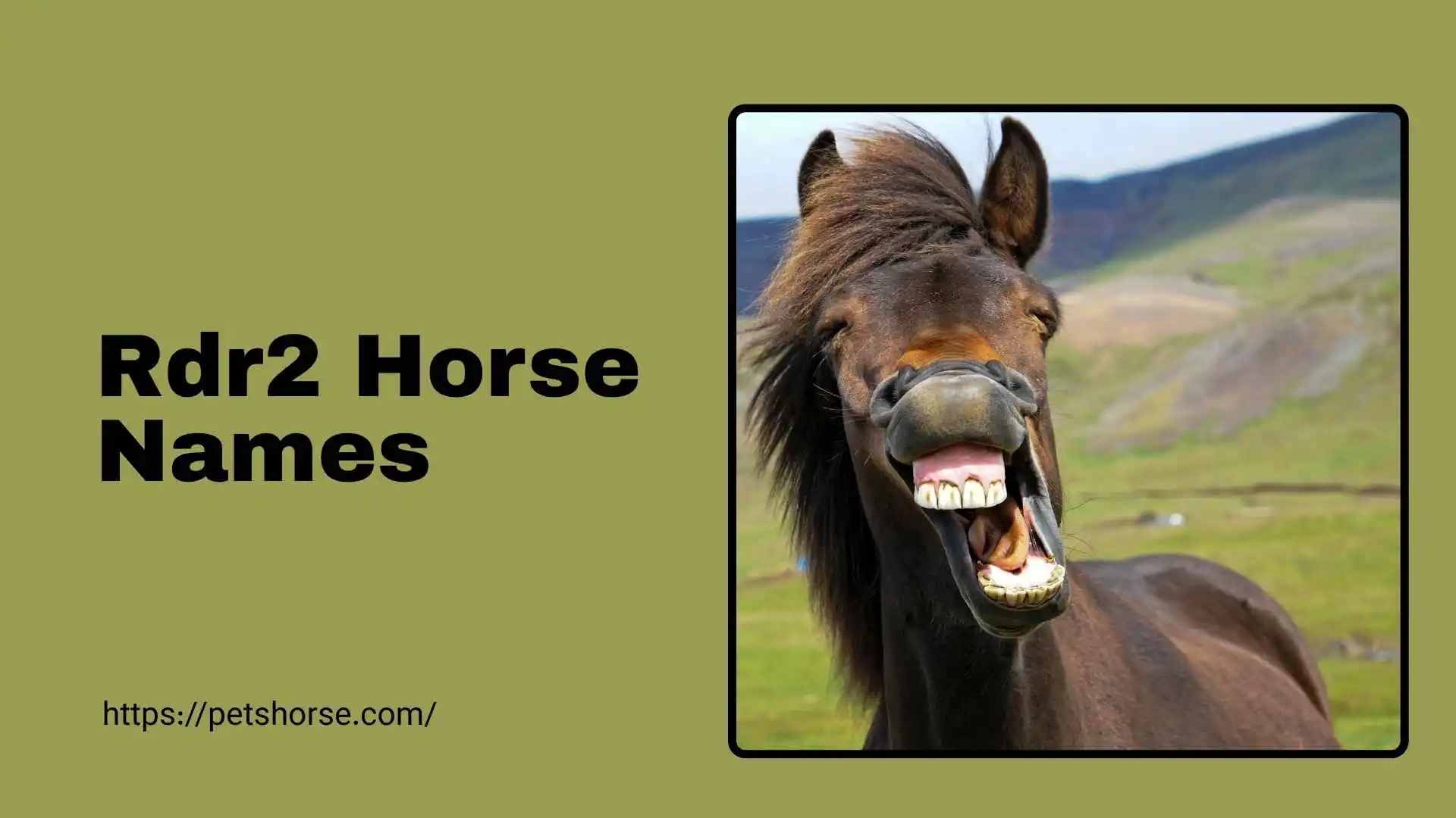 rdr2 horse names