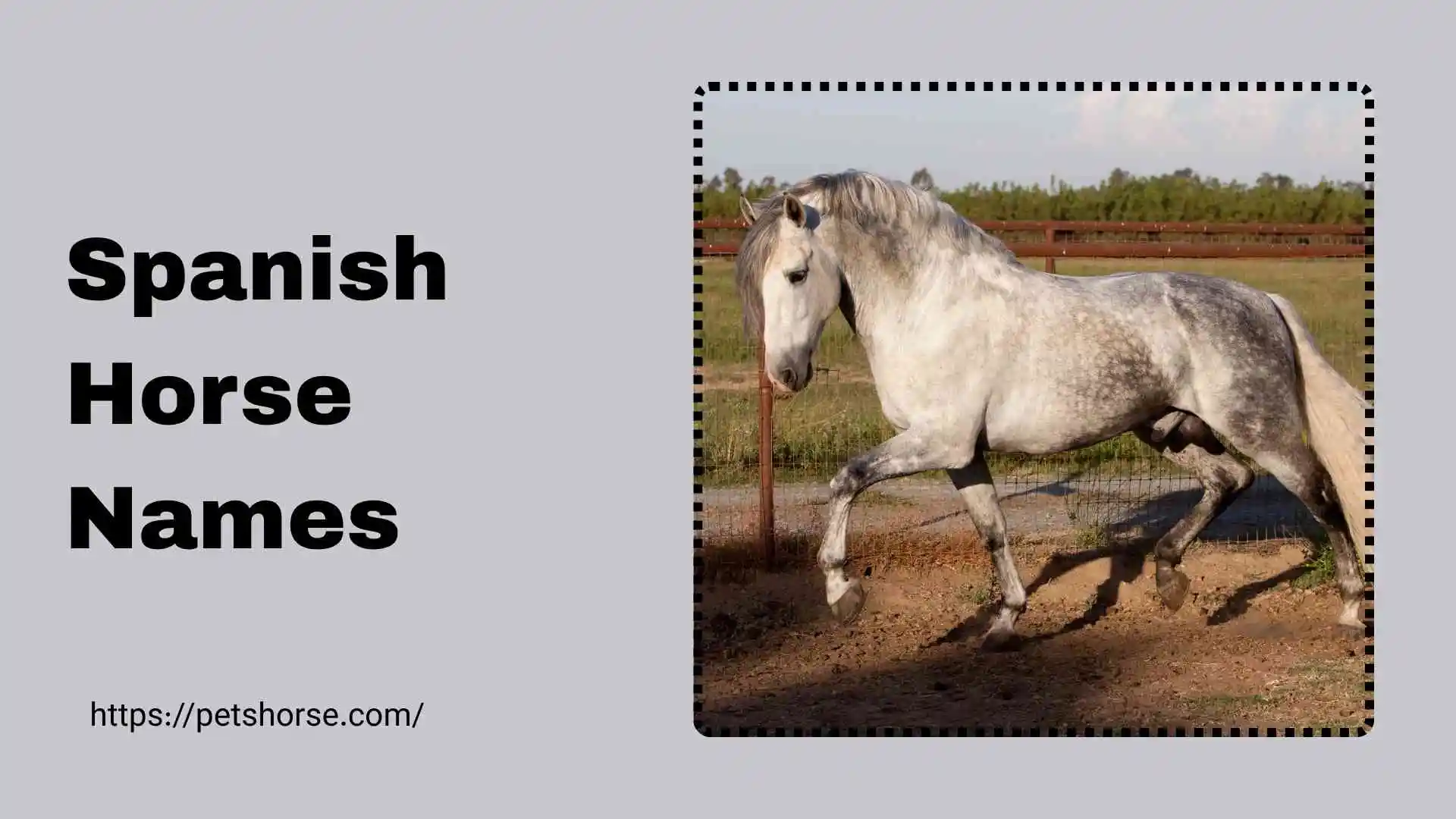 spanish horse names