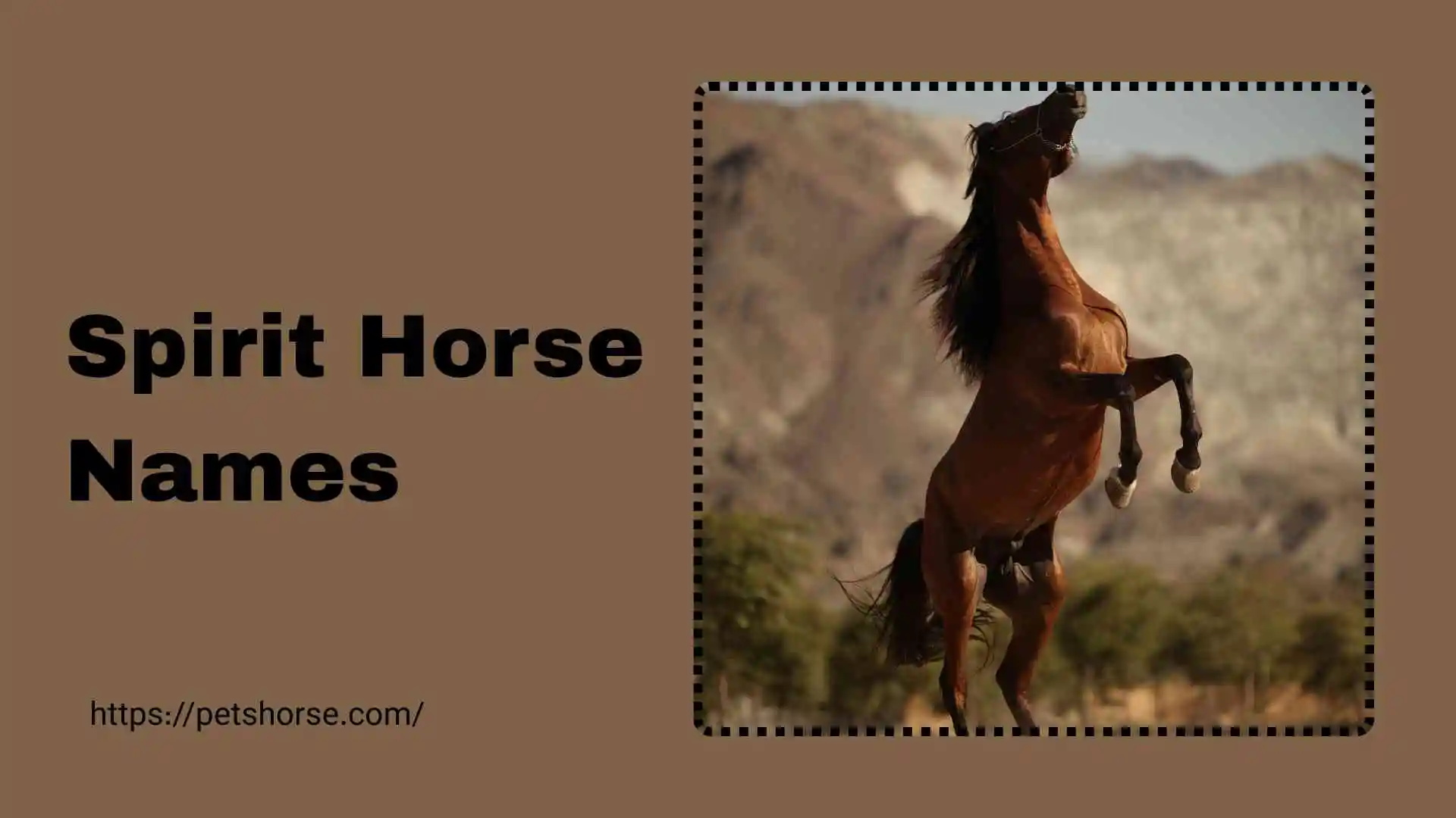 spirit horse names