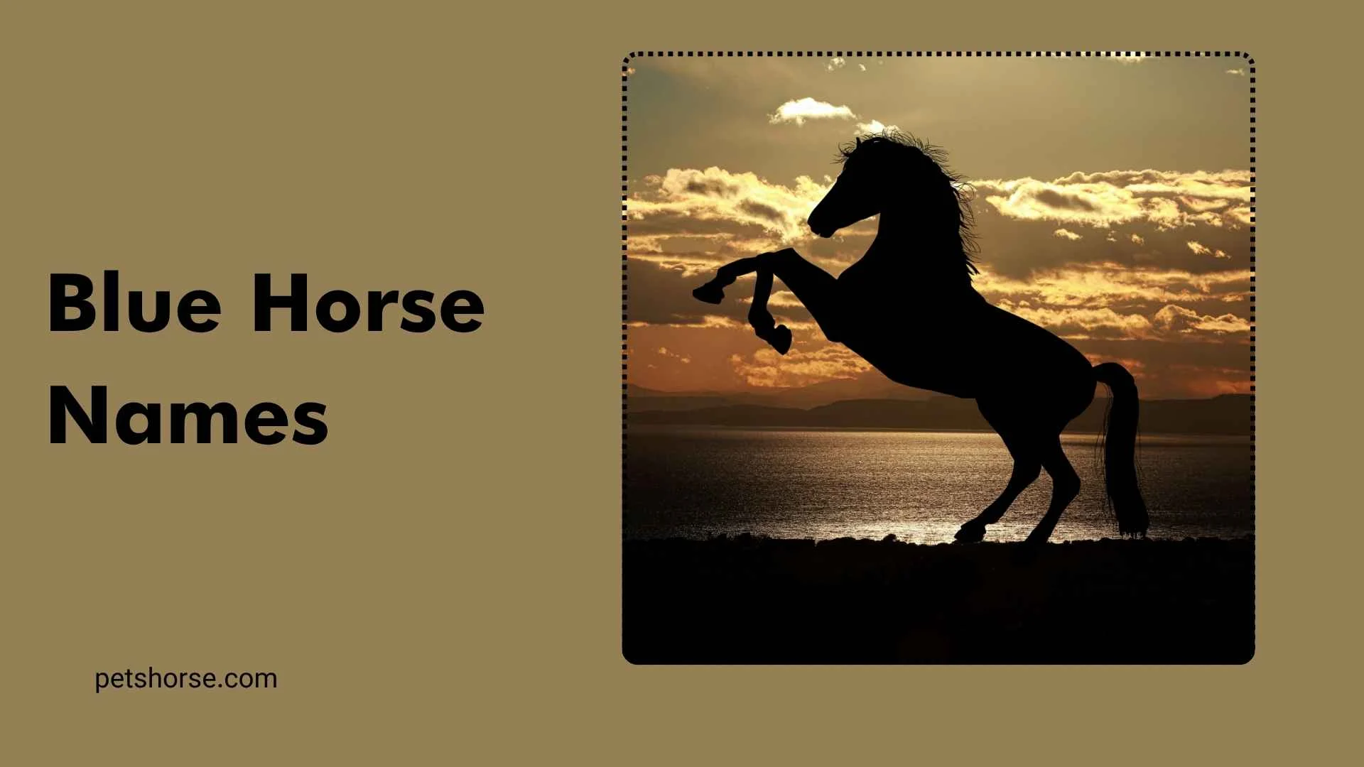 blue horse names