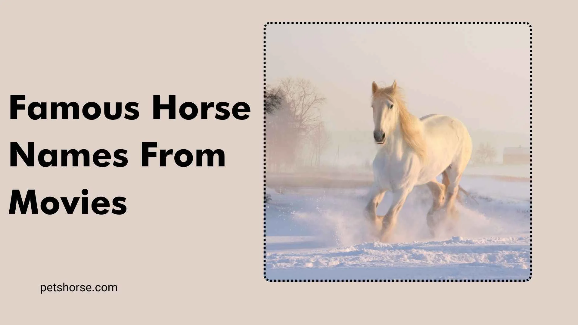 famous horse names from movies