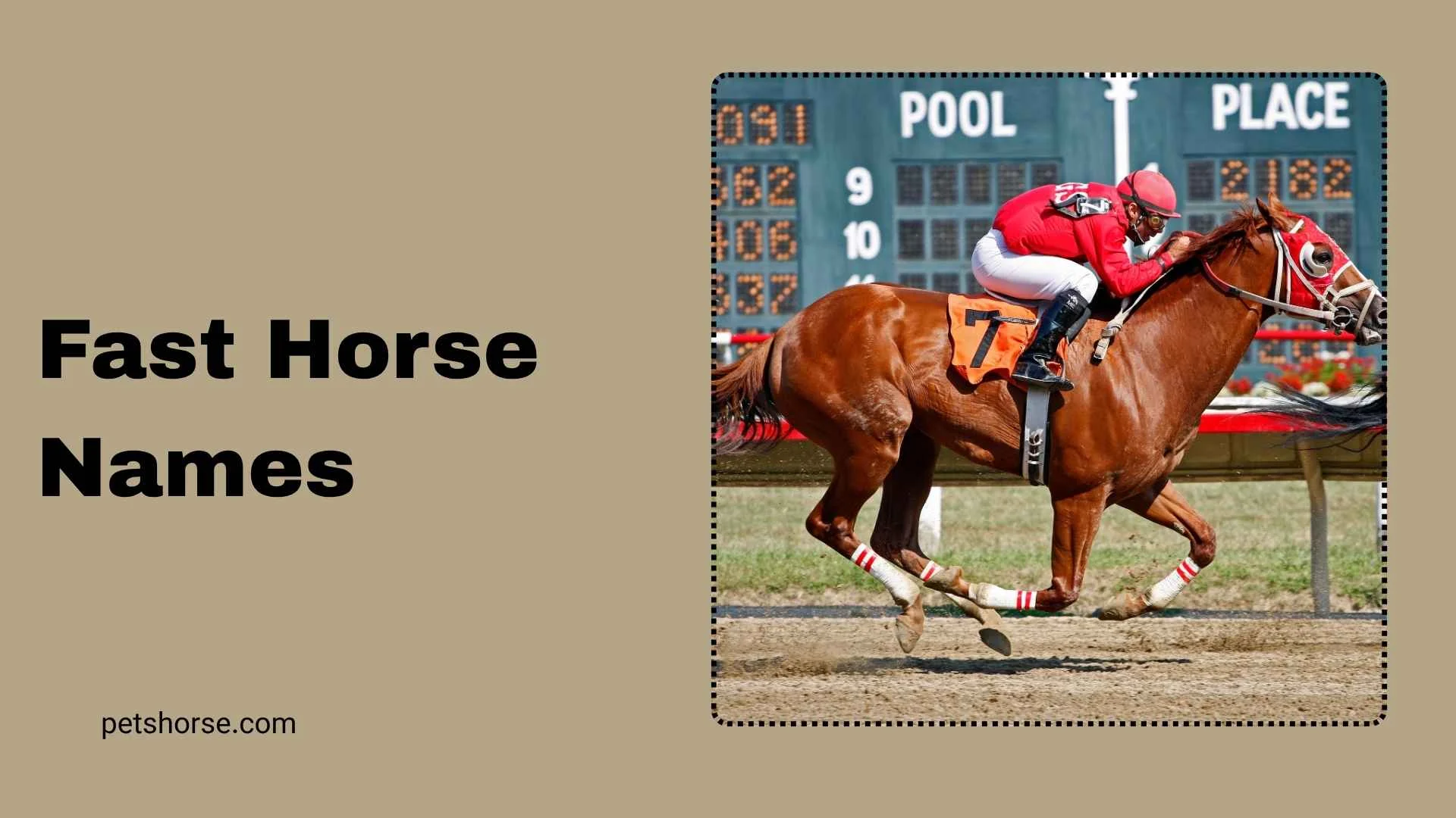 fast horse names