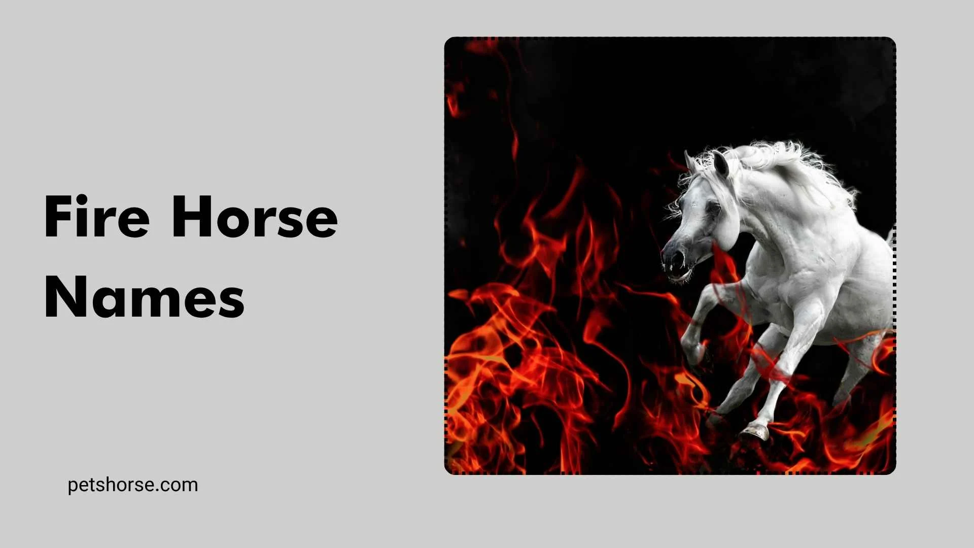 fire horse names