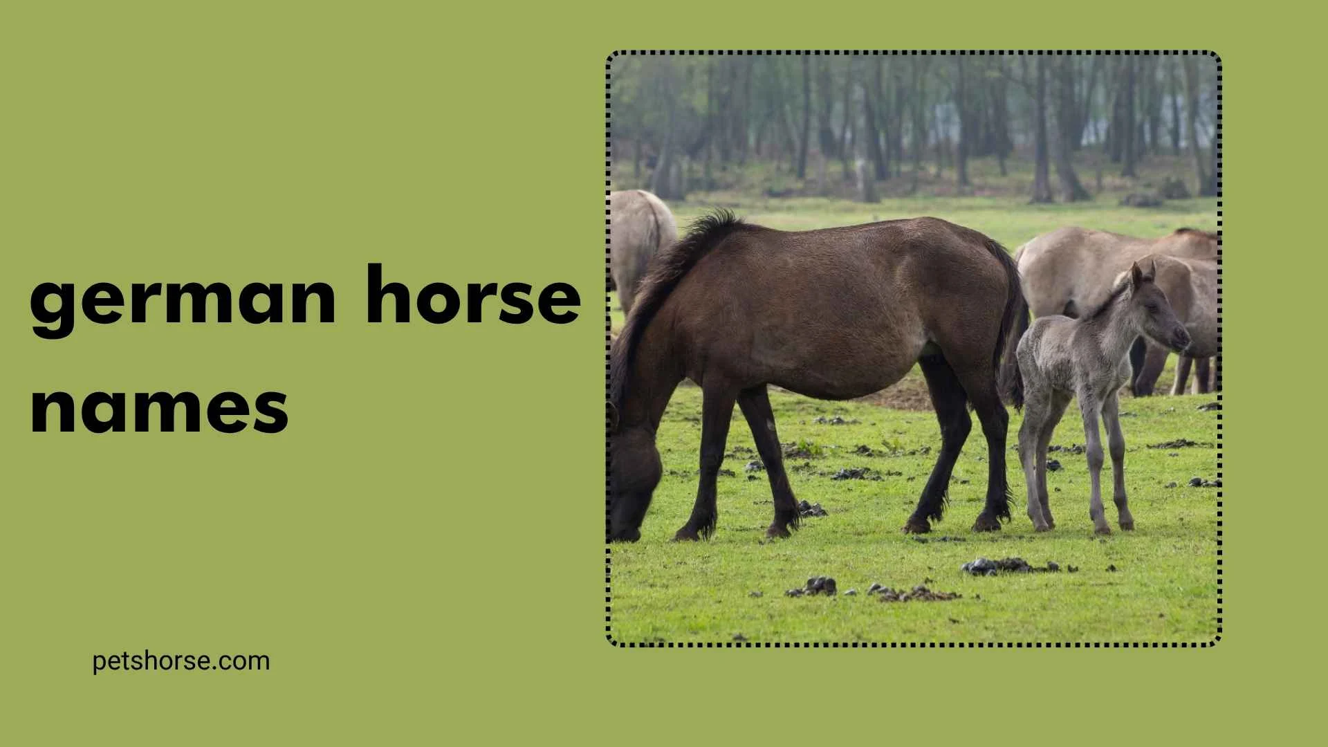 german horse names