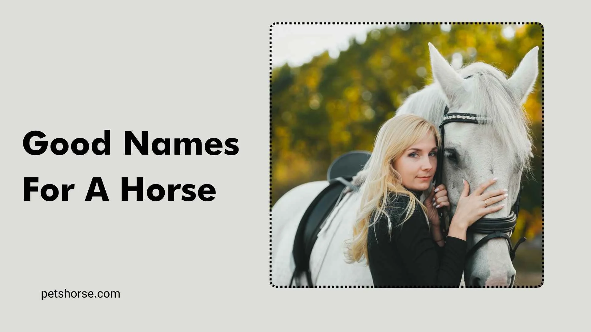 good names for a horse