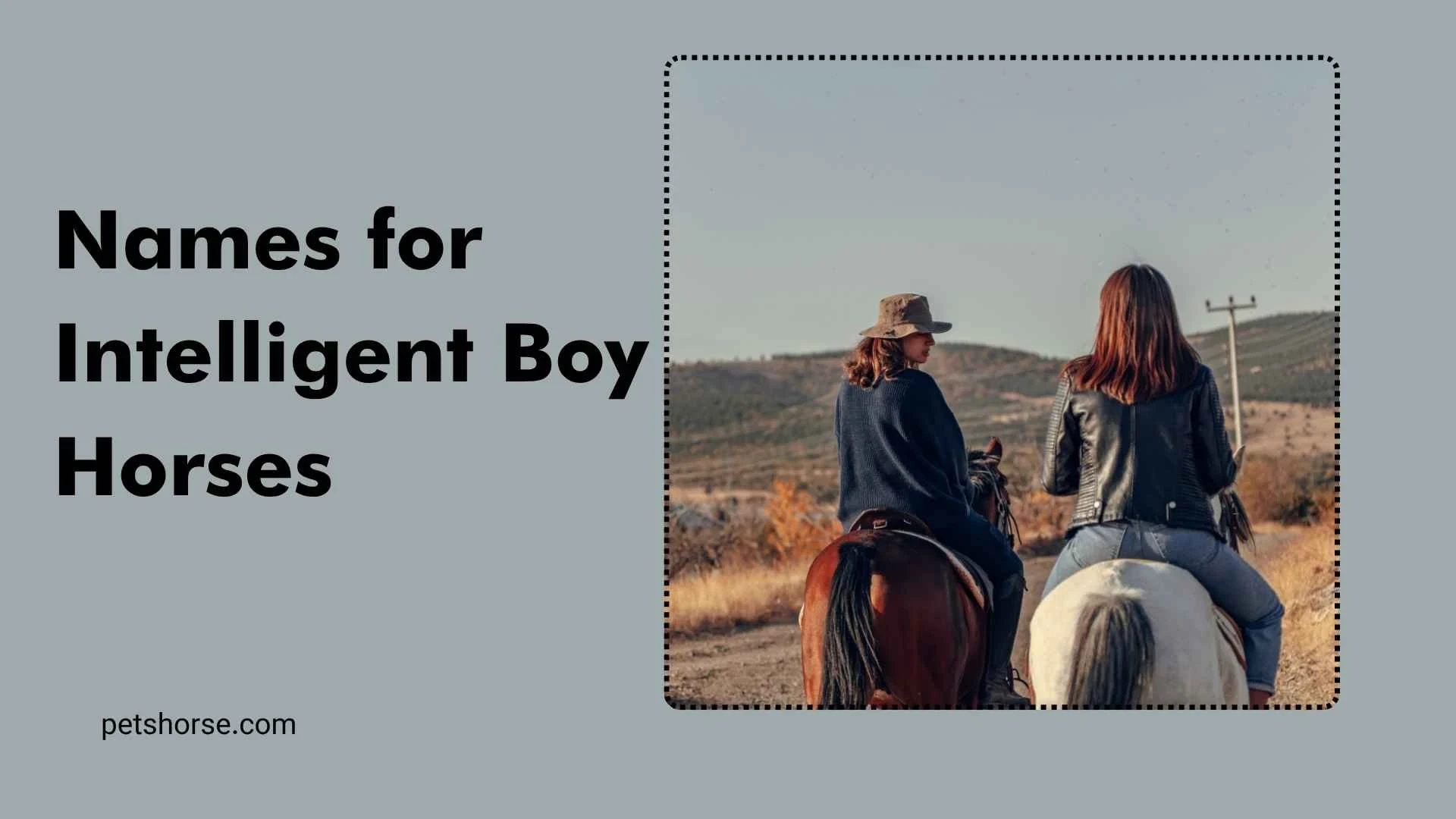 horse names mare