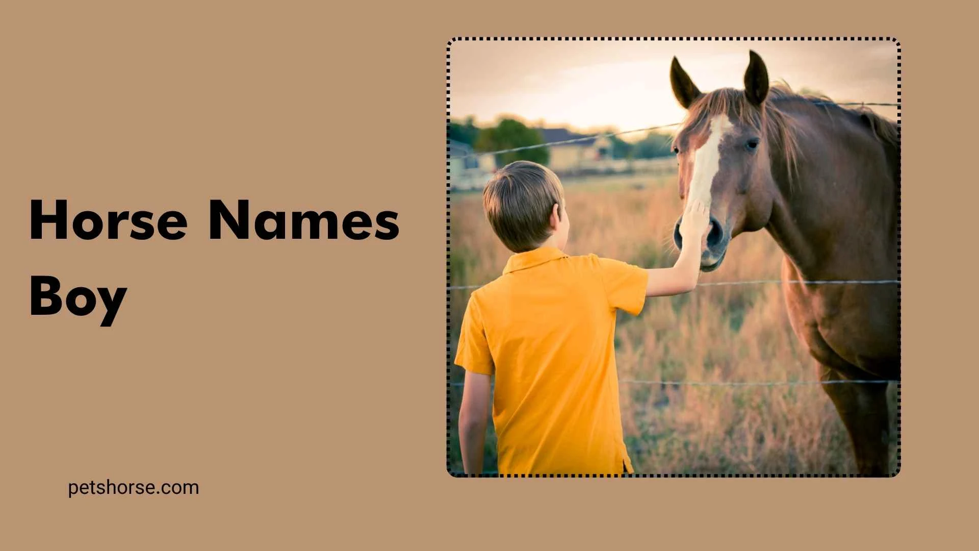 Names for Intelligent Boy Horses