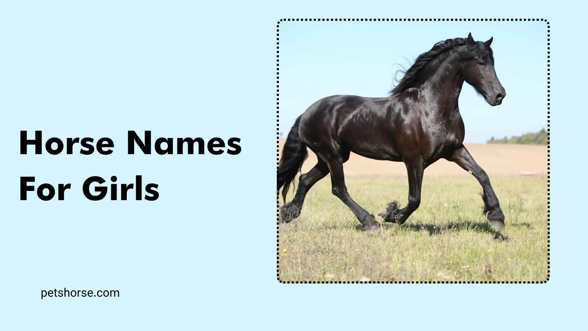 horse names for girls