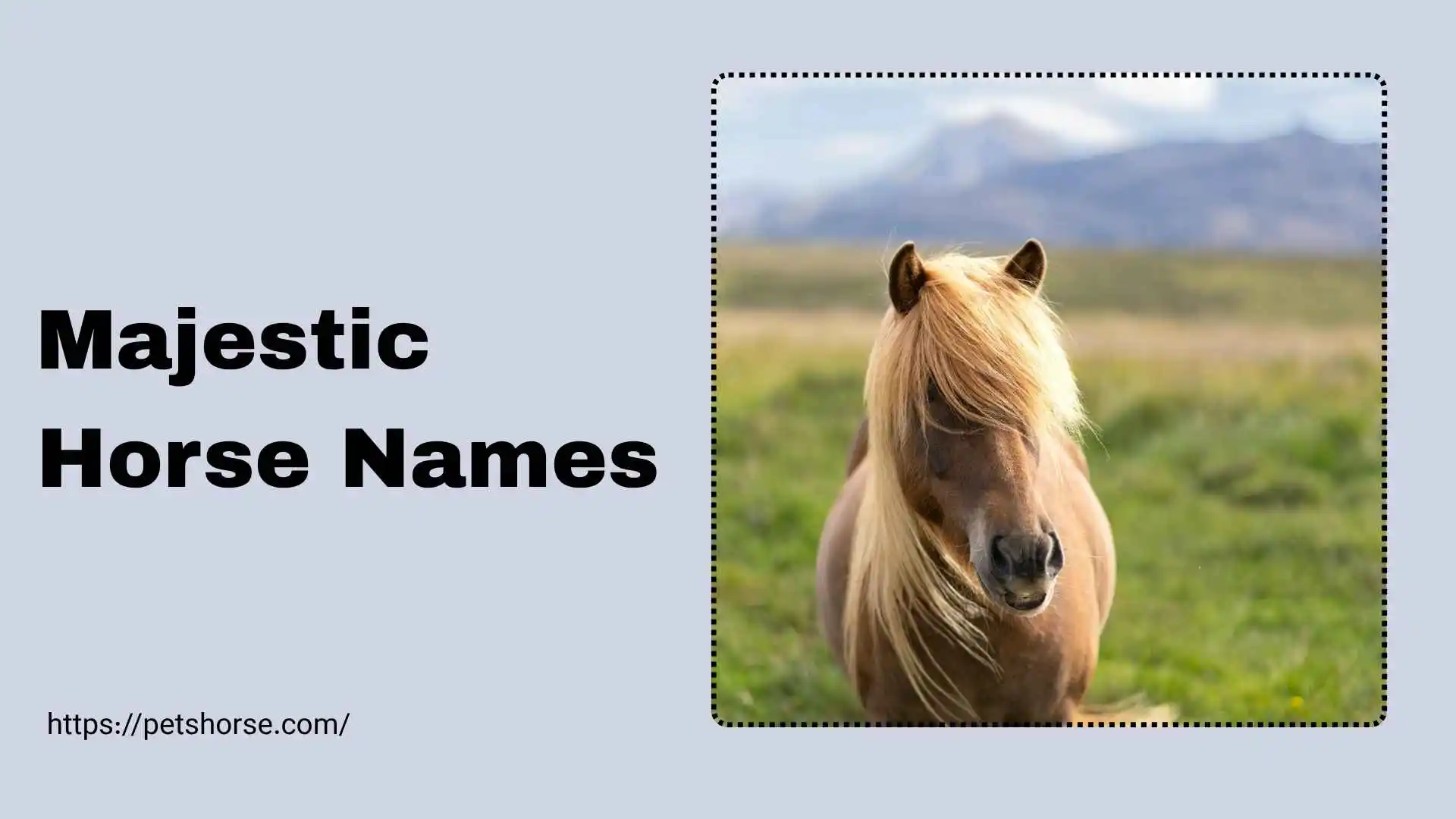 majestic horse names