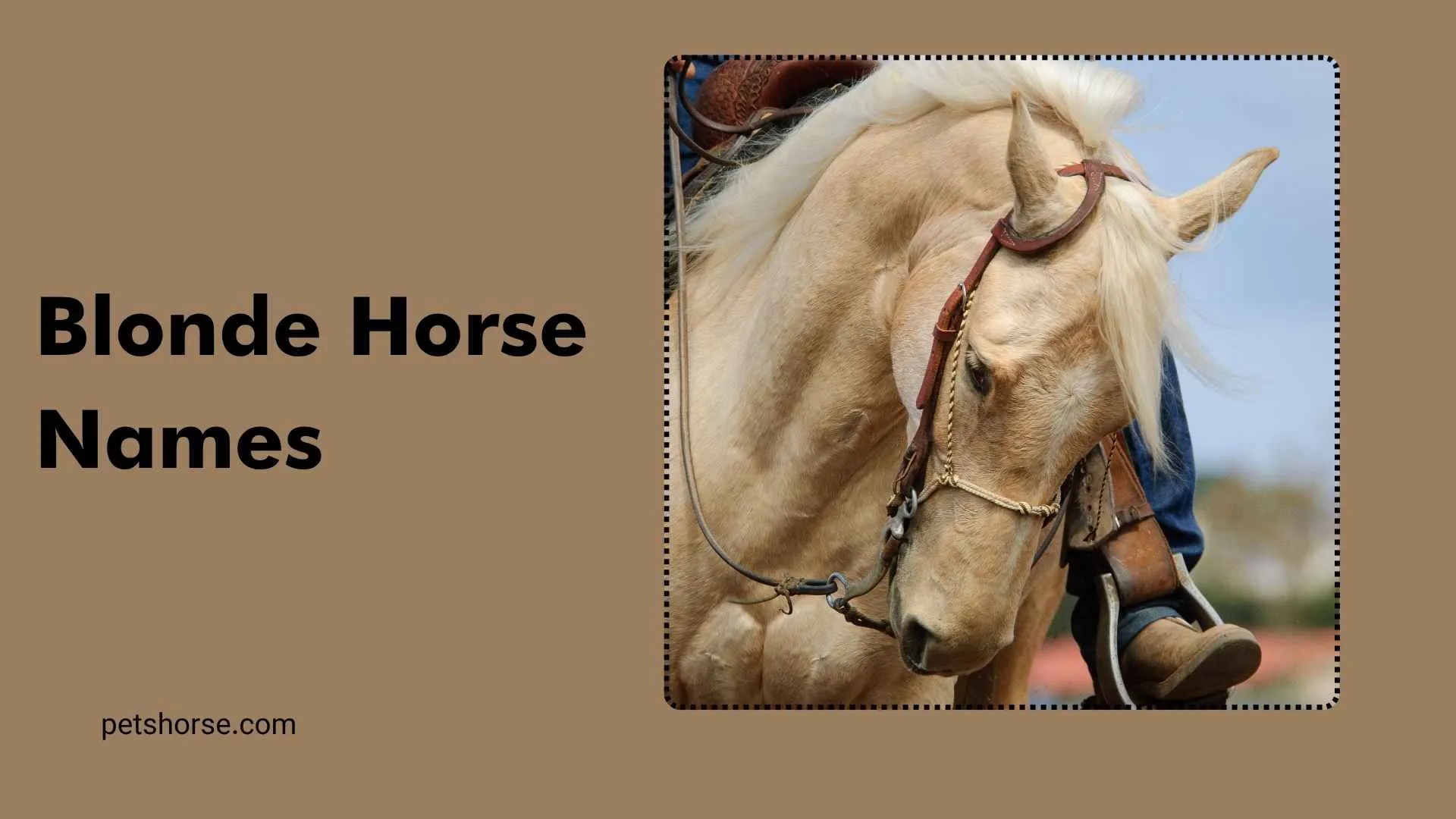 blonde horse names