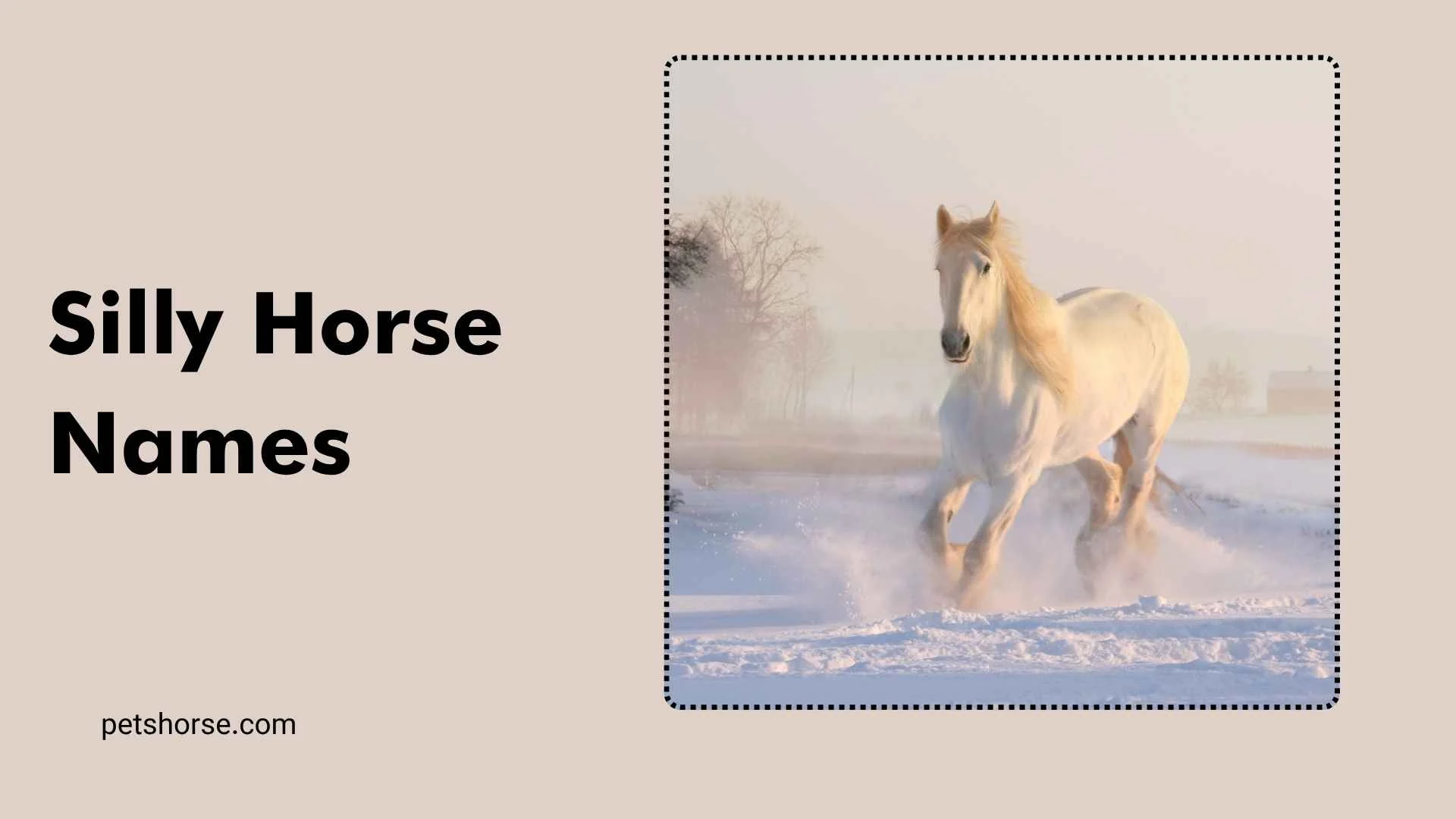 silly horse names