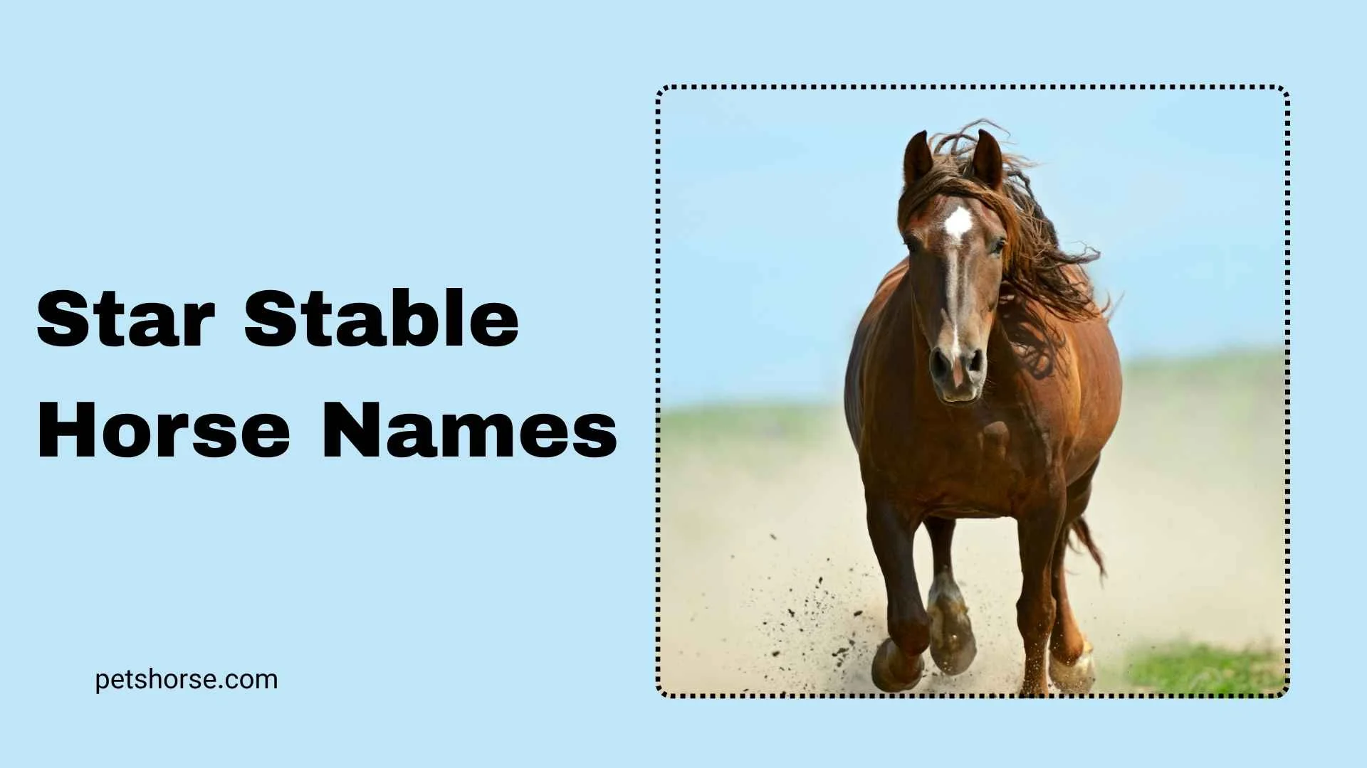 star stable horse names
