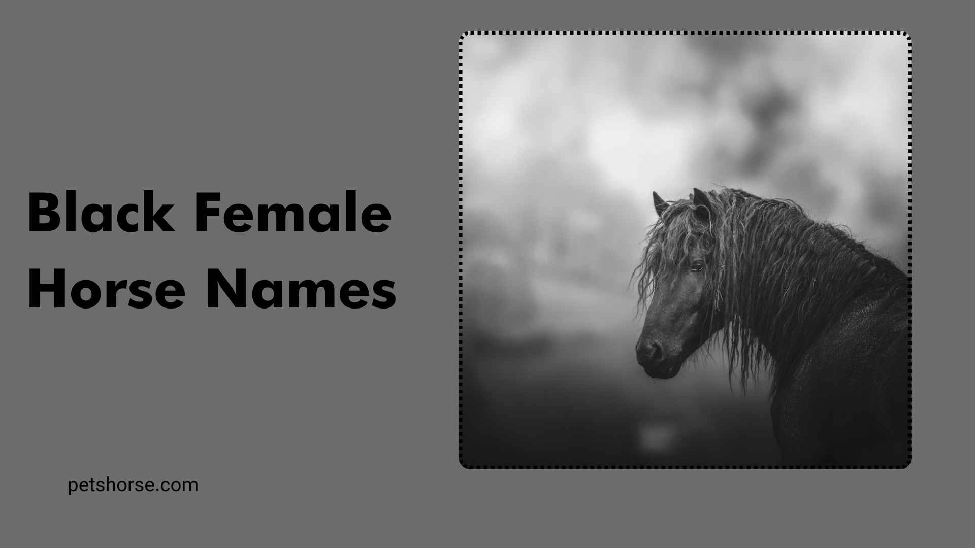 Black Female Horse Names