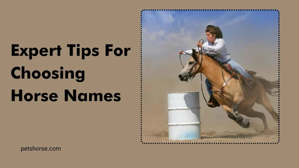 cool male horse names