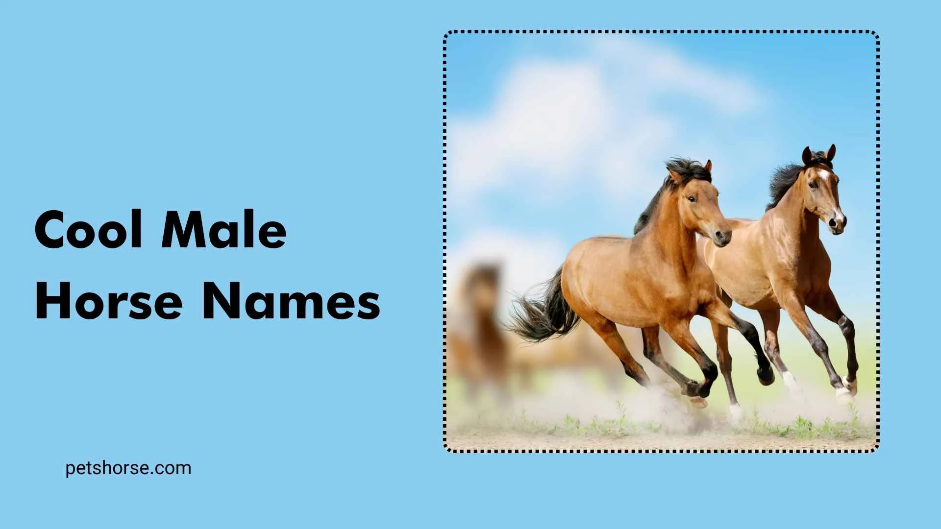 cool male horse names
