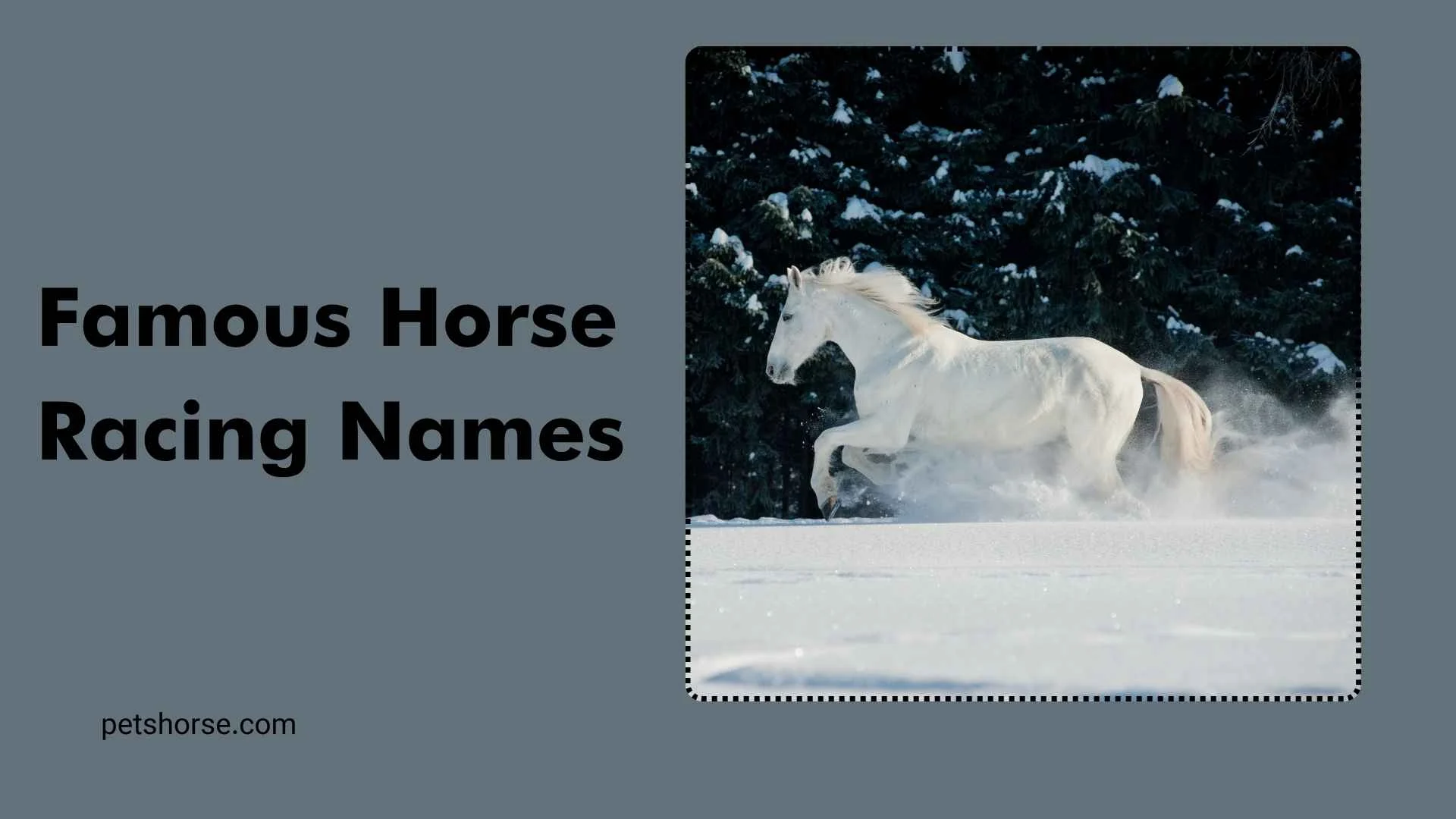 famous horse racing names