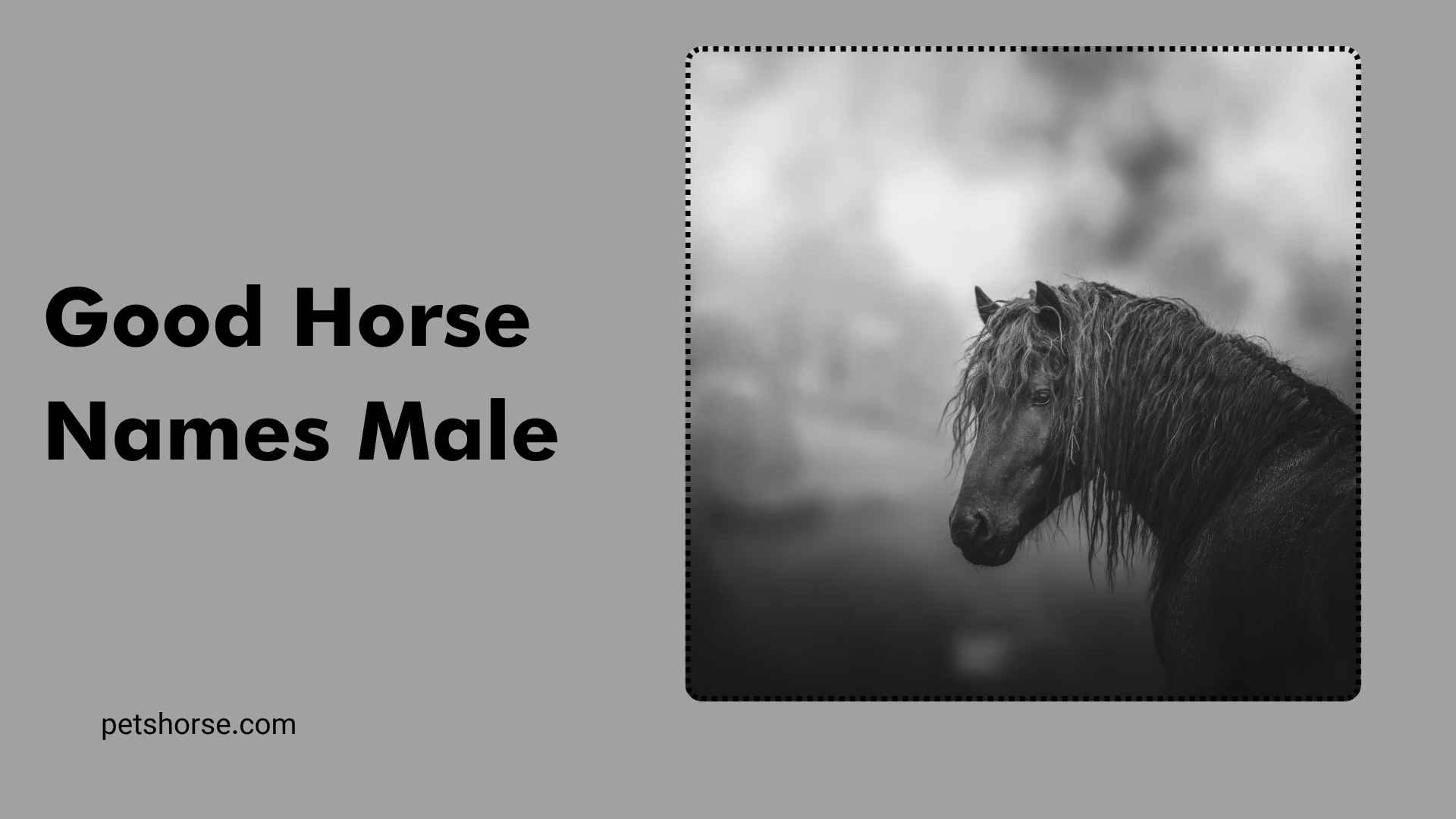 good horse names male