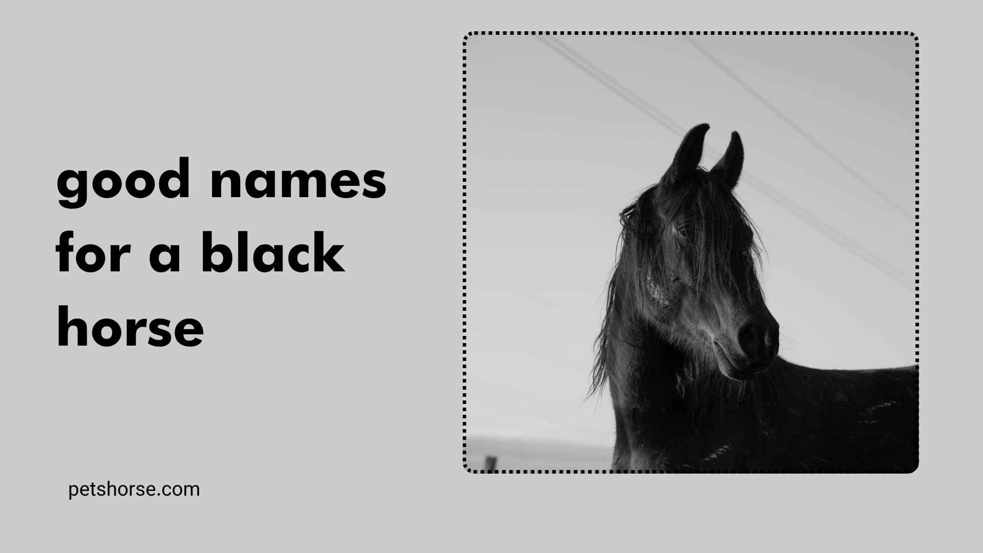 good names for a black horse