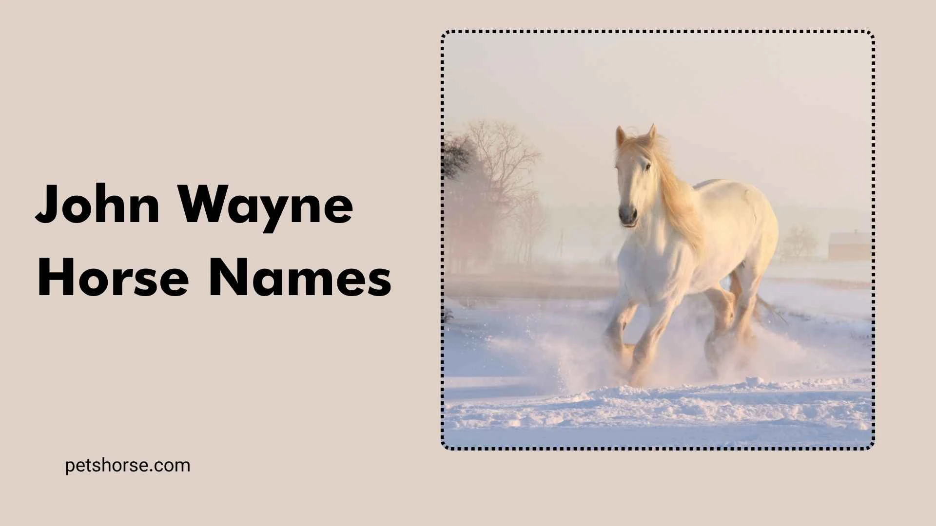 john wayne horse names